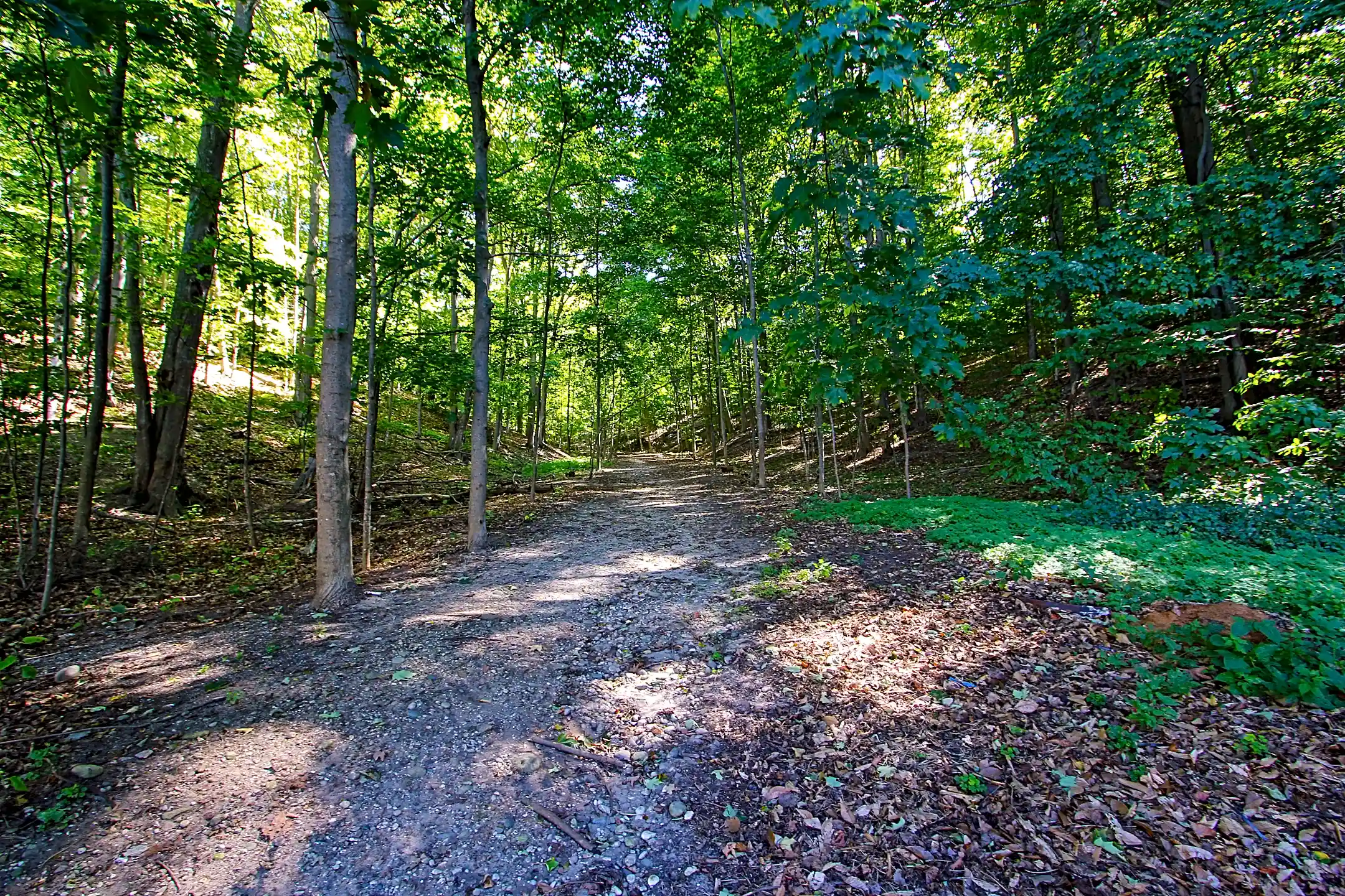 Little Traverse Village 301 Lafayette St. Petoskey, MI Apartments