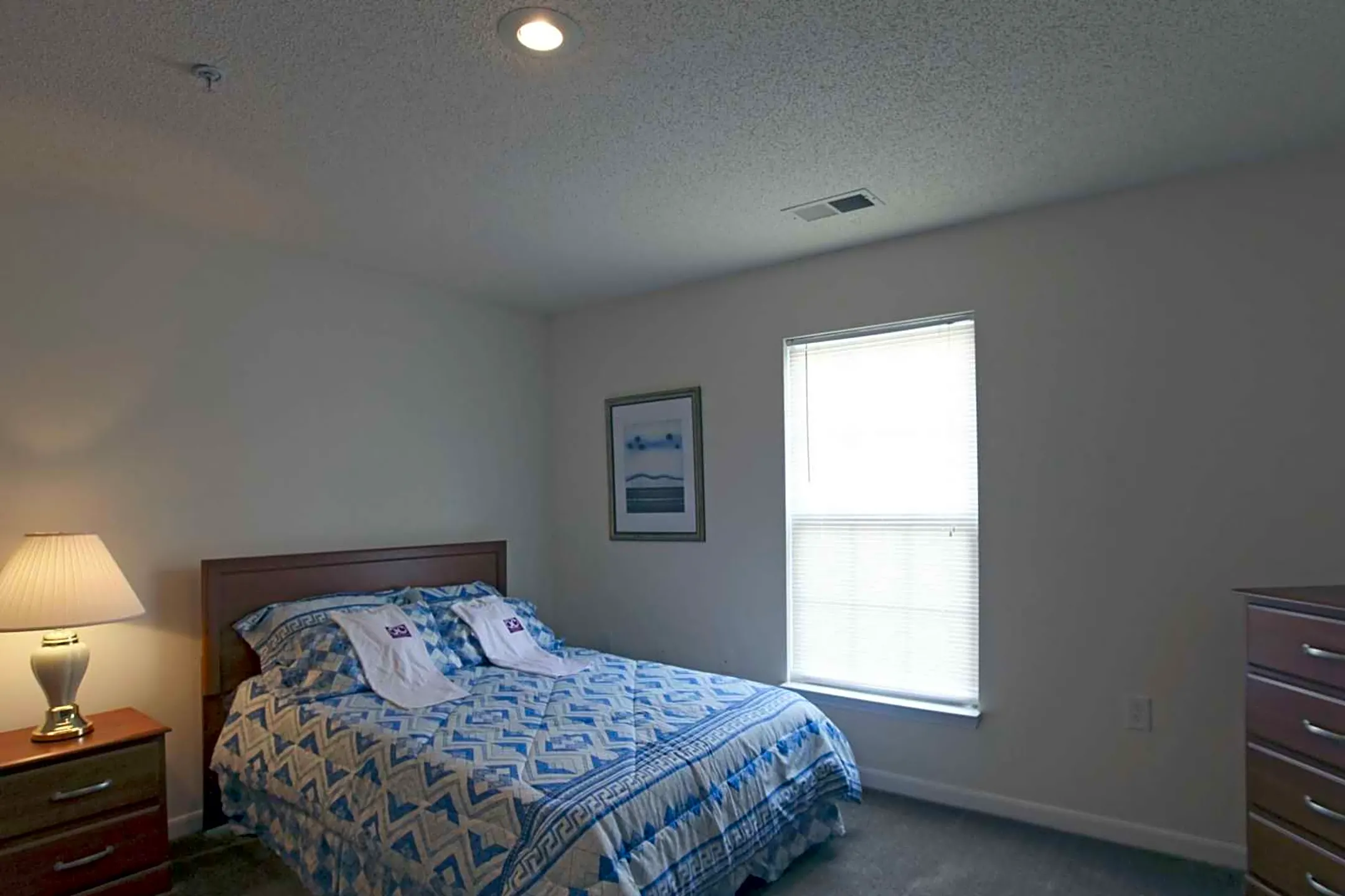 Bedroom - Collegiate Commons - Greensboro, NC