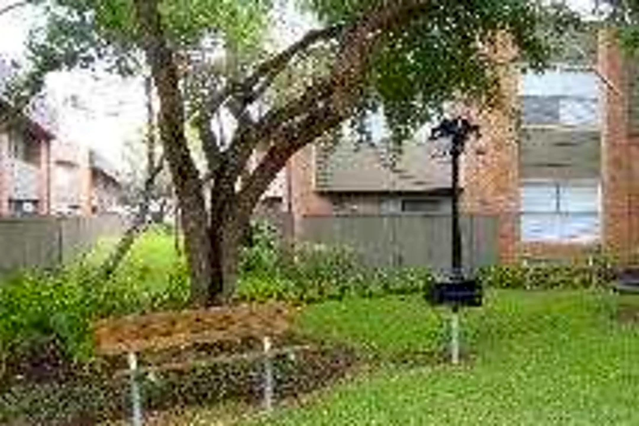 Landscaping - The Townhomes on Three - Webster, TX