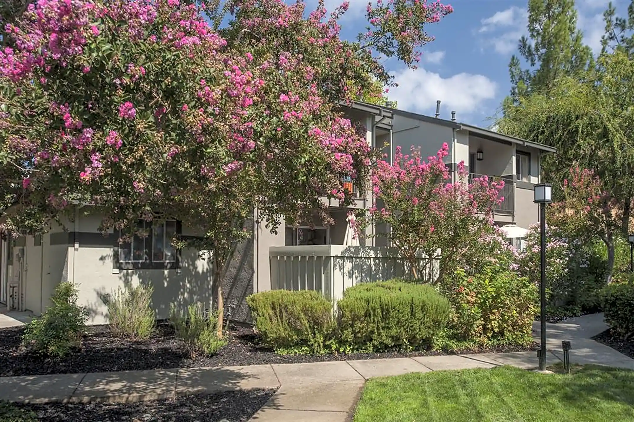 Valley Ridge Apartments 900 Roanoke Dr Martinez, CA Apartments for