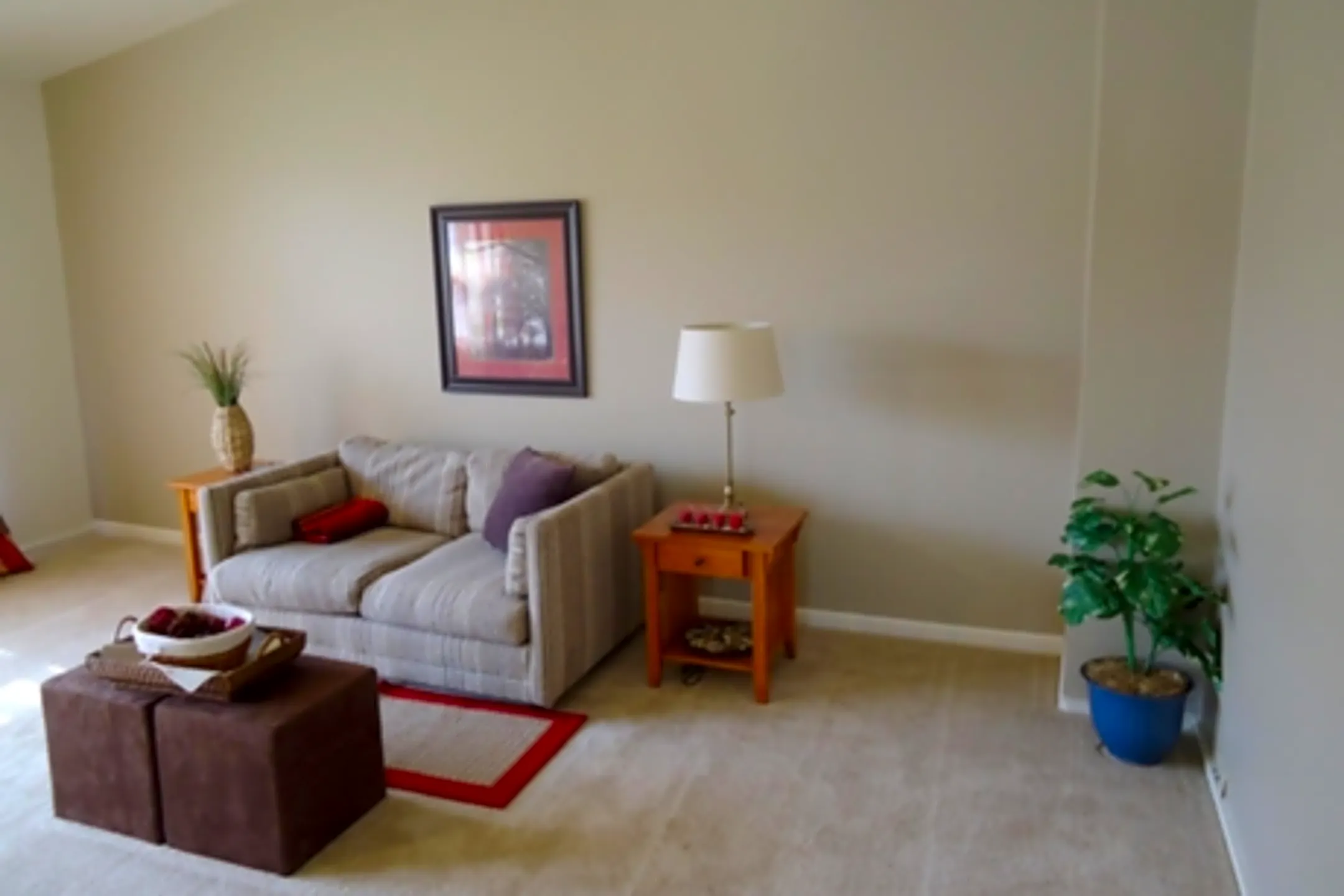 South Pointe Commons Rantoul, IL 61866