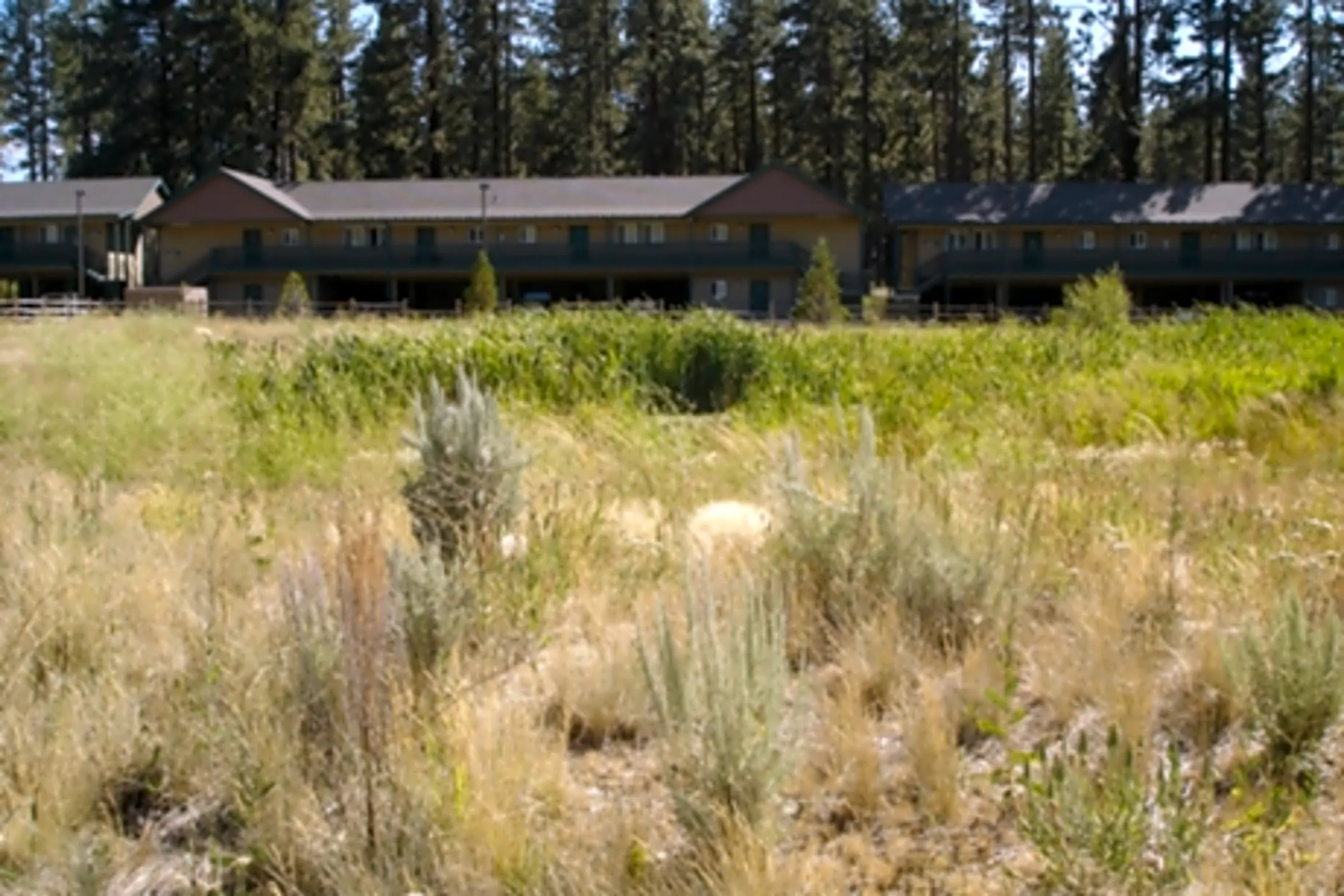 Meadowbrook Apartments 134 Kahle Dr Stateline, NV Apartments for