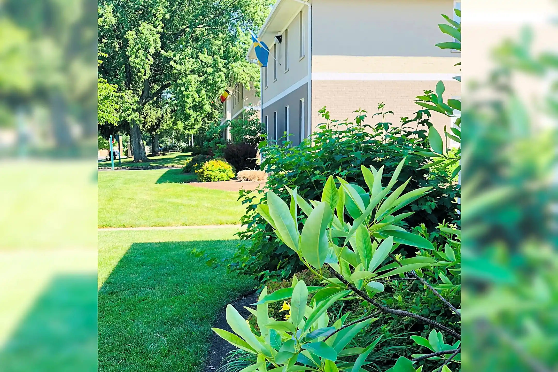 Building - Double Tree Apartments - Lexington, KY