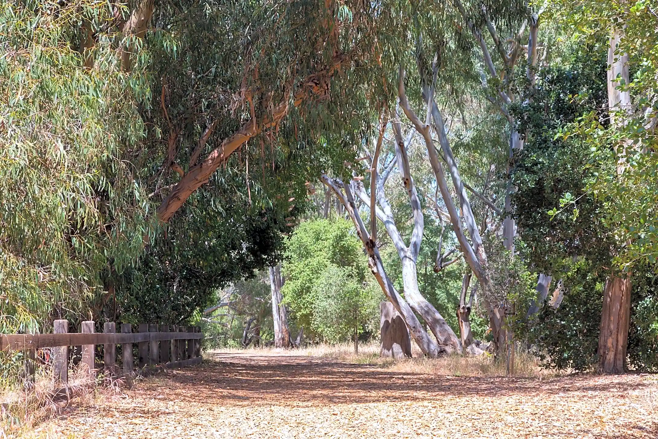 Oak Creek Apartments 1600 Sand Hill Rd Palo Alto, CA Apartments for