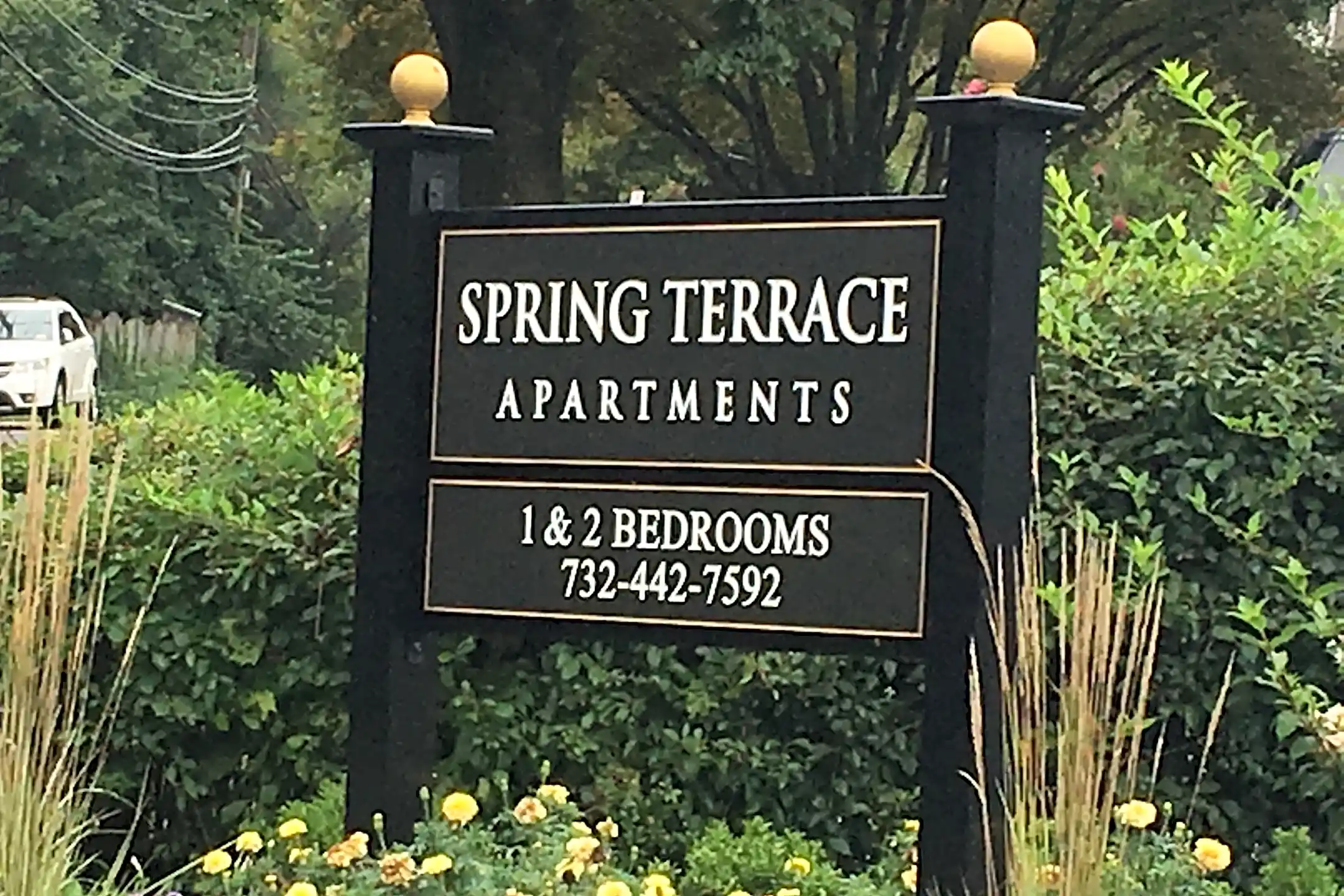 Spring Terrace Apartments