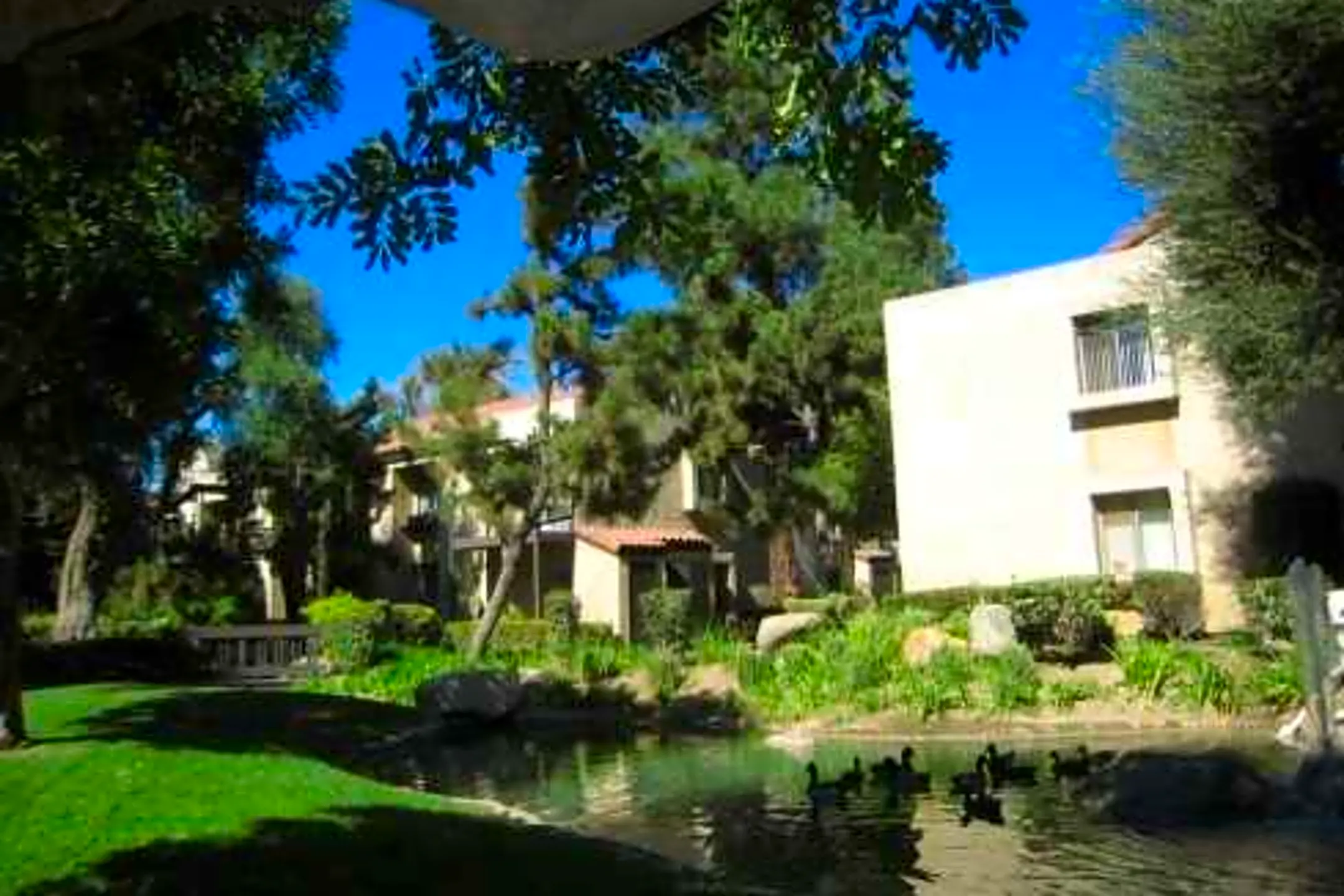 Casa Mediterrania Apartments - Colton, CA 92324