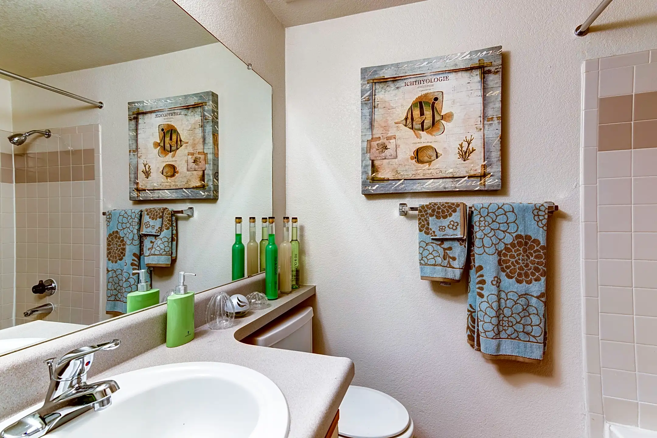 Cinnamon Tree Albuquerque, NM 87108