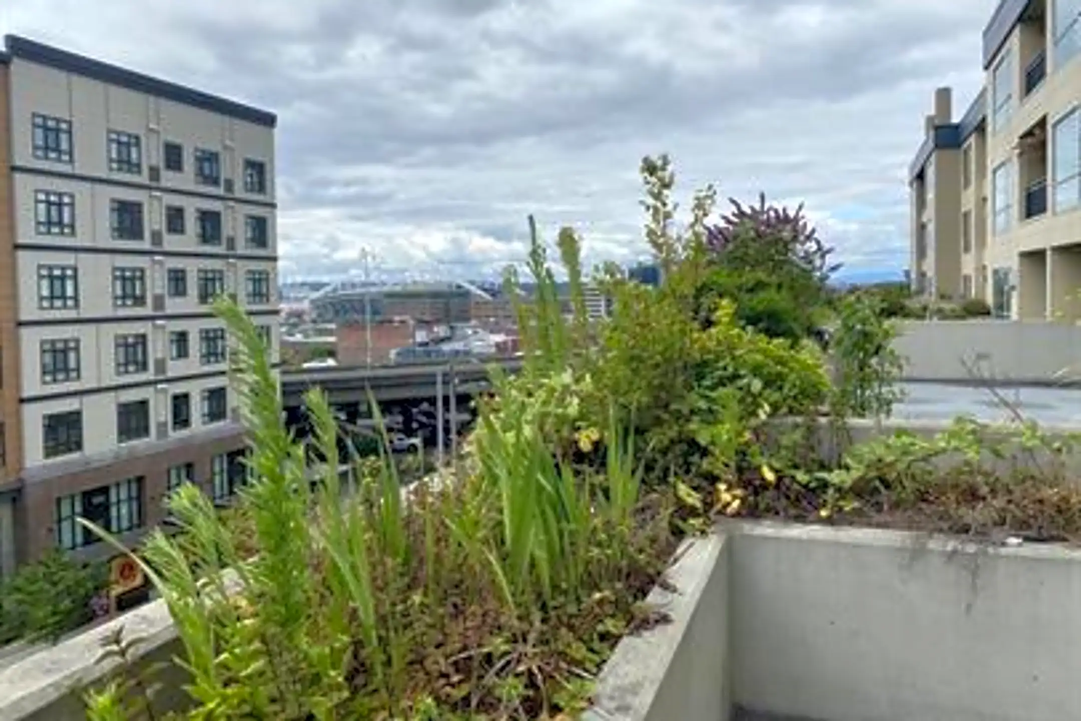 103 Main St E Houses Clarks Grove, MN 56016