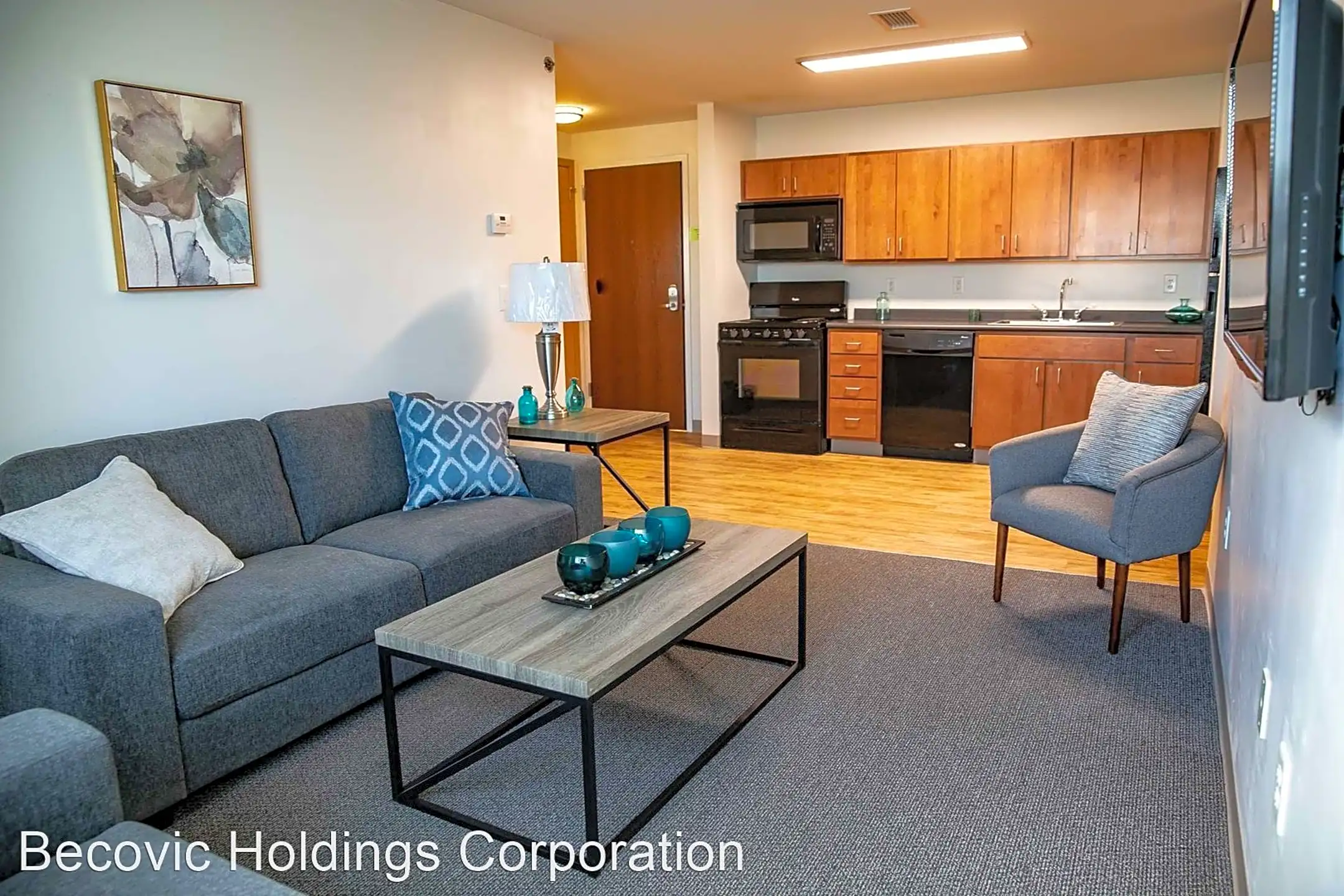 Living Room - WaterFront Apartments - Moline, IL