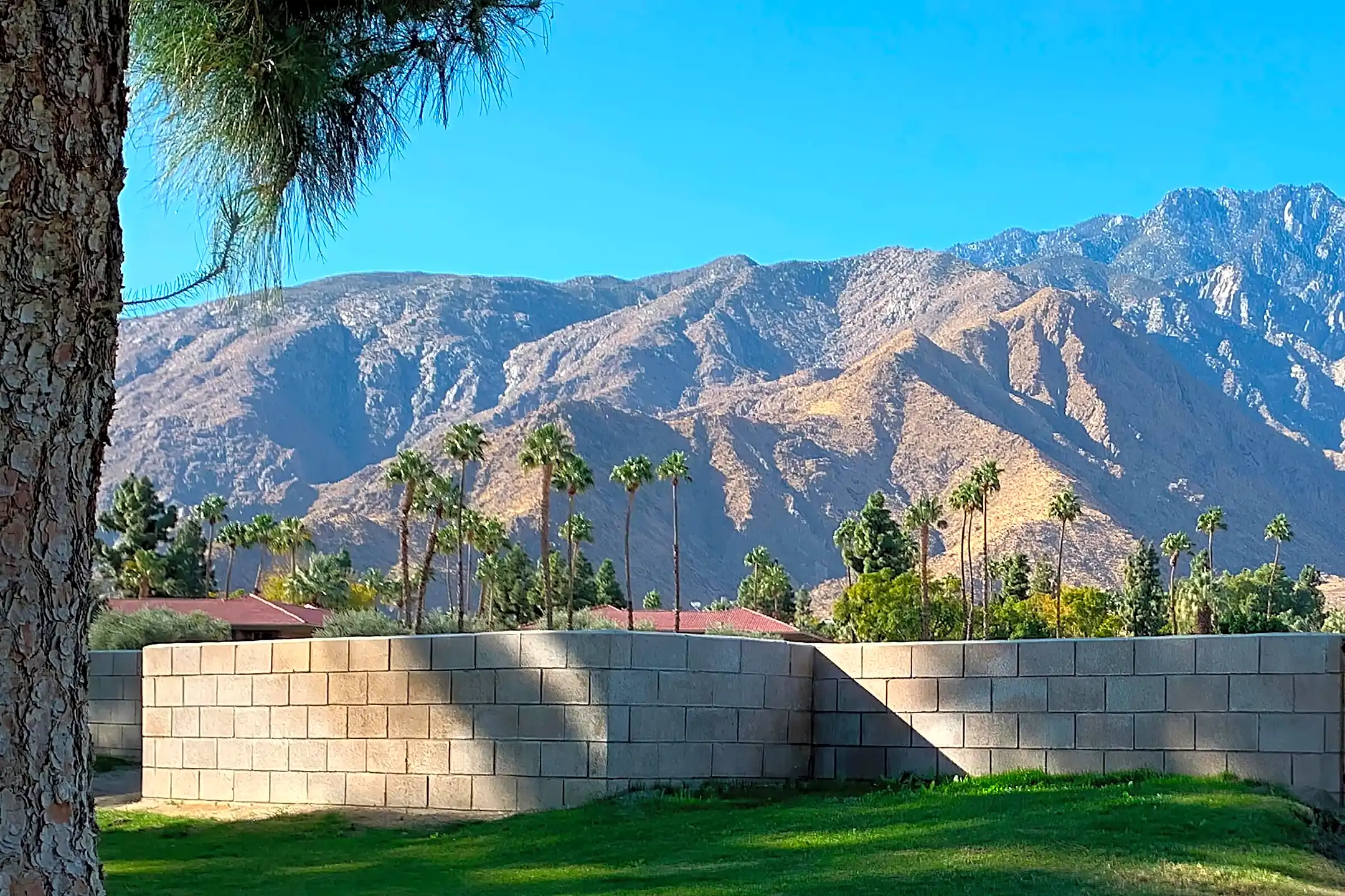 Palm Springs View Apartments Palm Springs, CA 92262