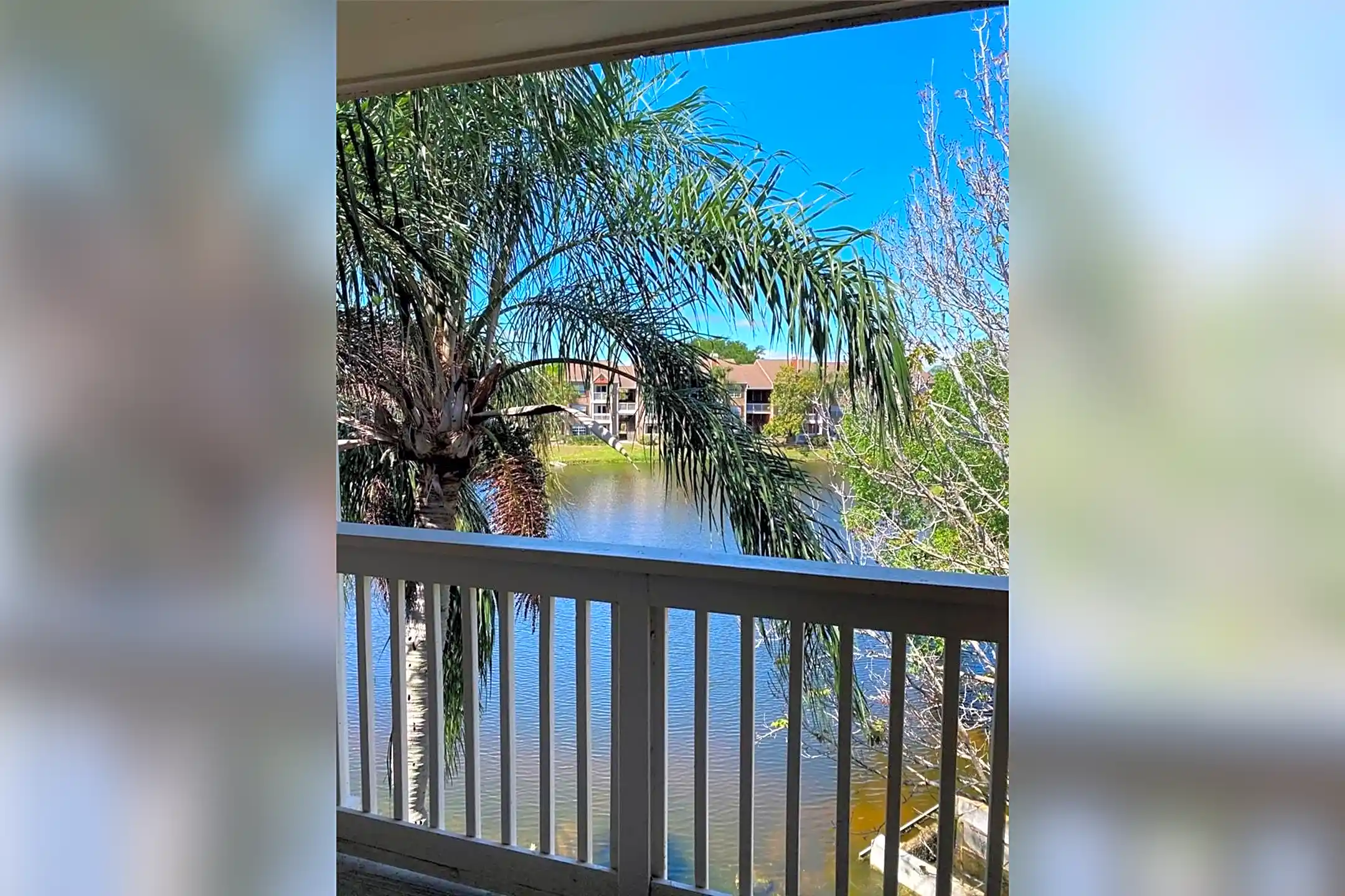 10200 Gandy Blvd N 1136 Saint Petersburg, FL Condos for Rent Rent.