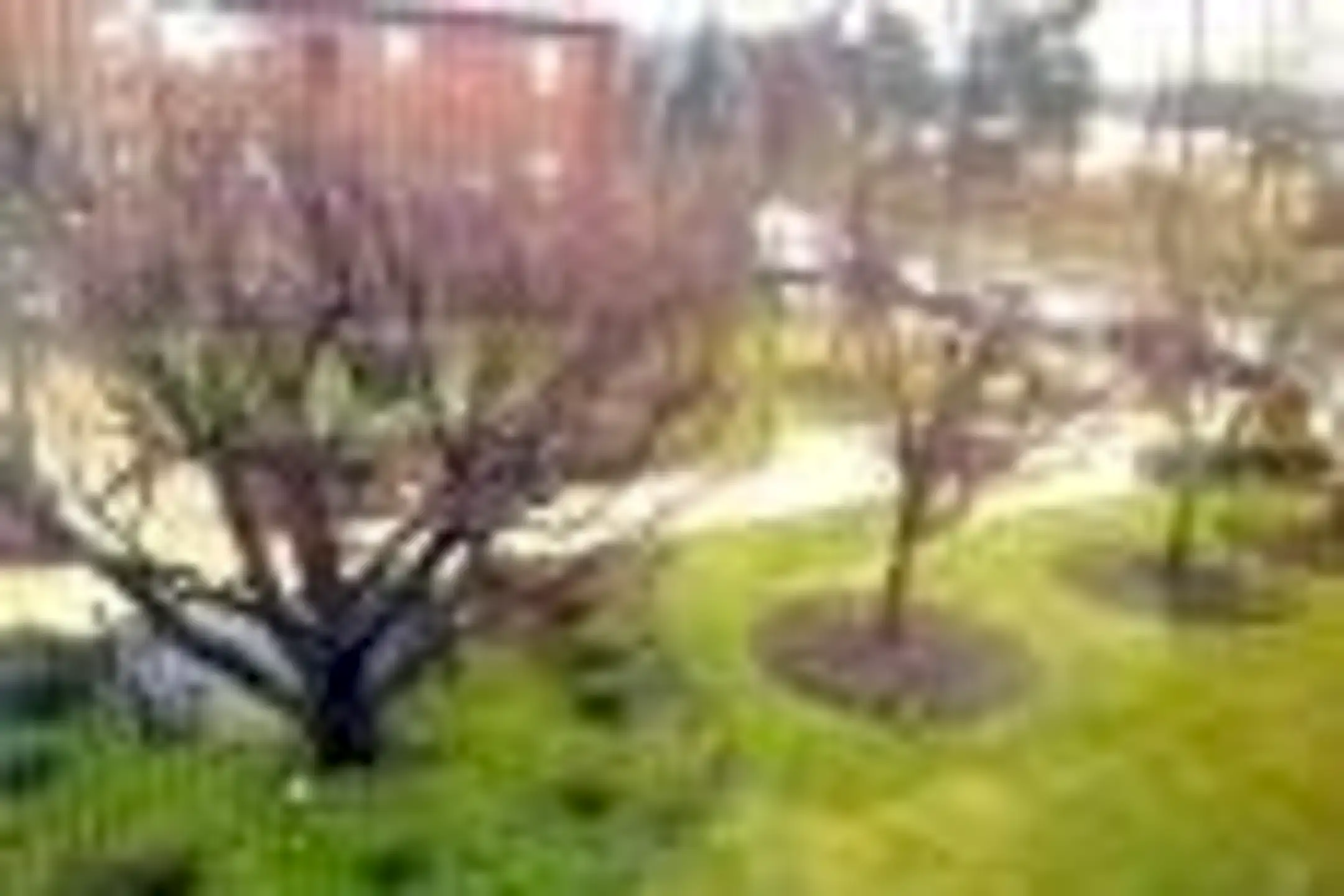 Packer Park Apartments 1901 Hartranft St Philadelphia, PA Apartments for Rent Rent.