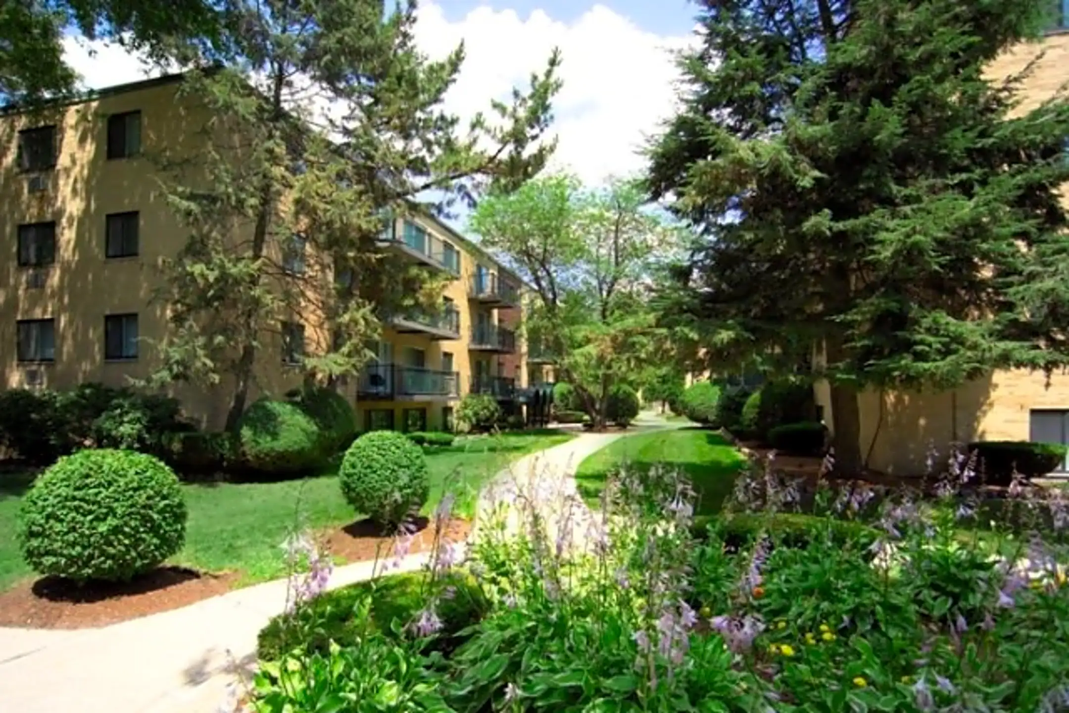 SoMa Apartments 15 Bismarck St Mattapan, MA Apartments for Rent Rent.