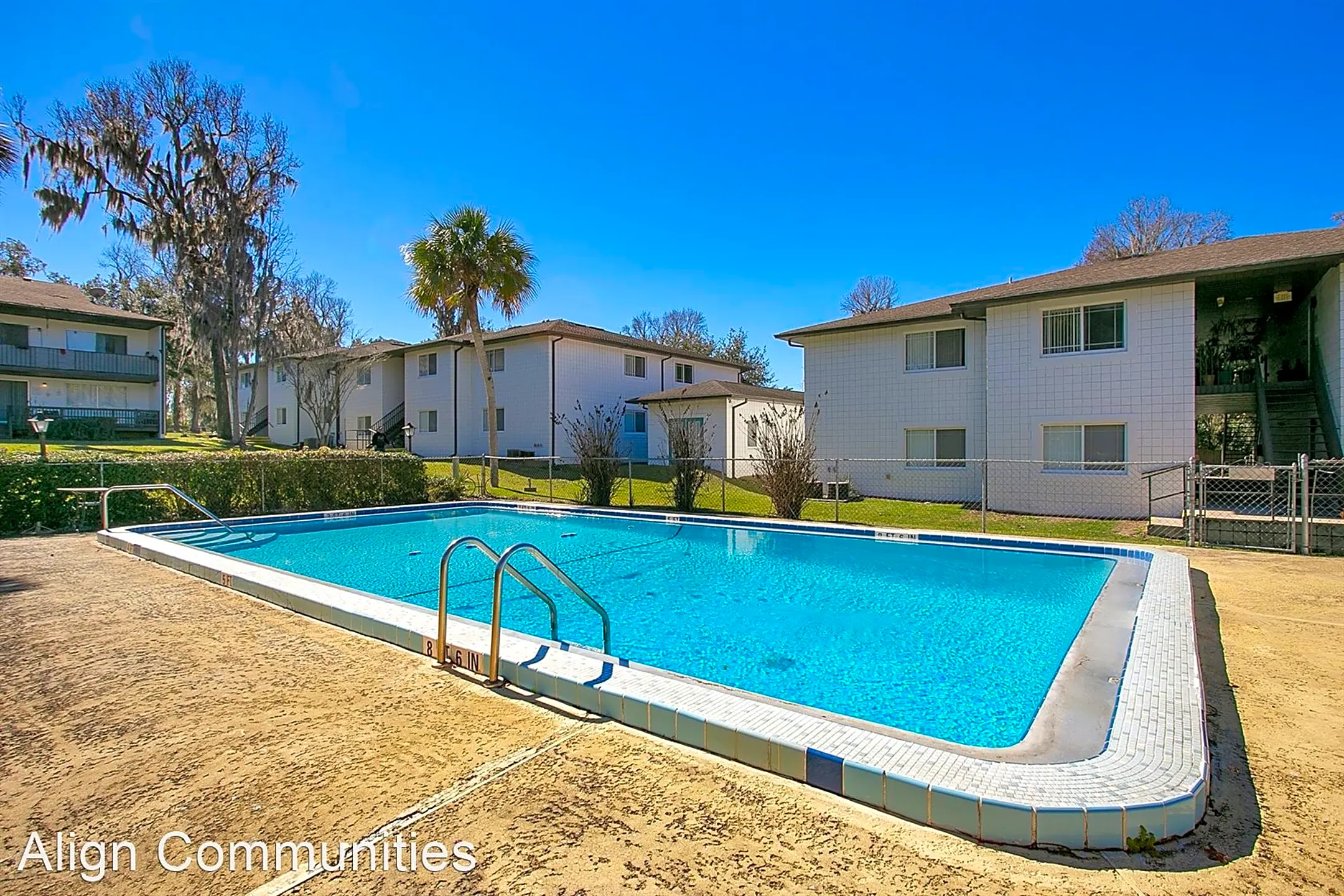 Pool - The Packard Apartments - Ocala, FL