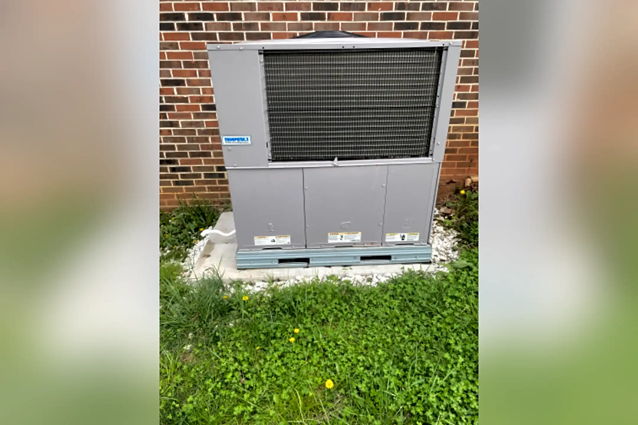 2823 Shiloh Cir Strawberry Plains, TN Houses for Rent Rent.