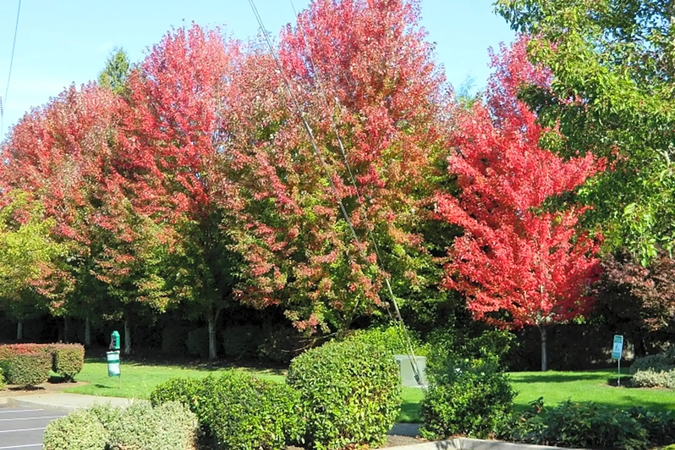 Springwater Trail Gresham, OR 97080