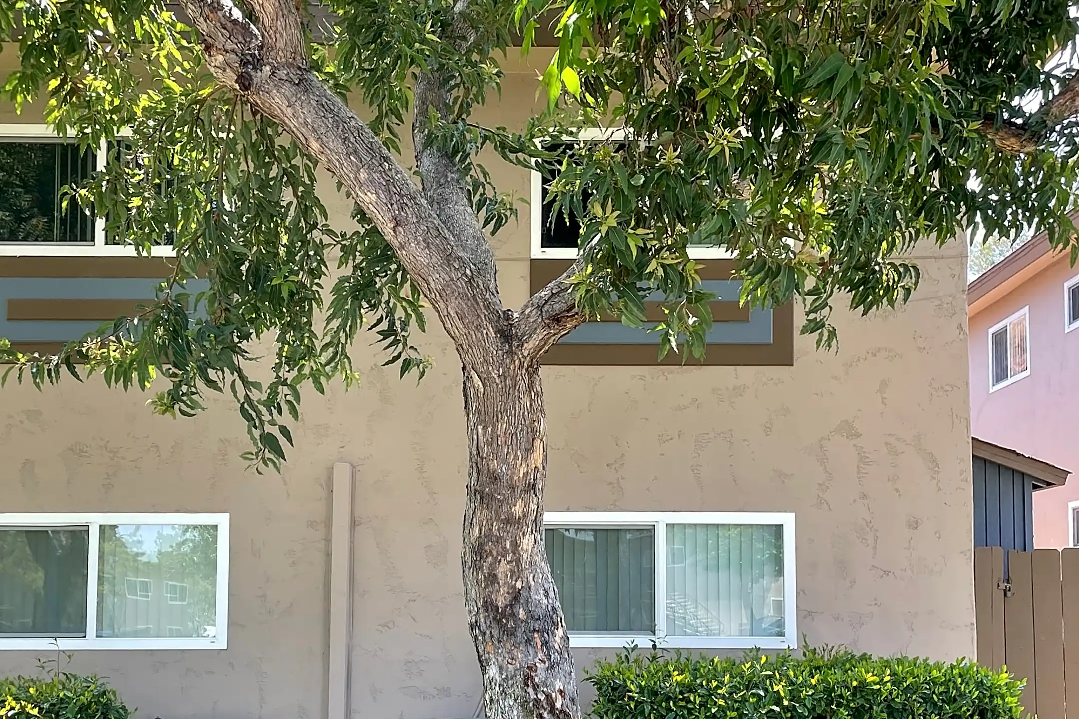 Park Grossmont 9076 Campina Dr La Mesa, CA Apartments for Rent Rent.