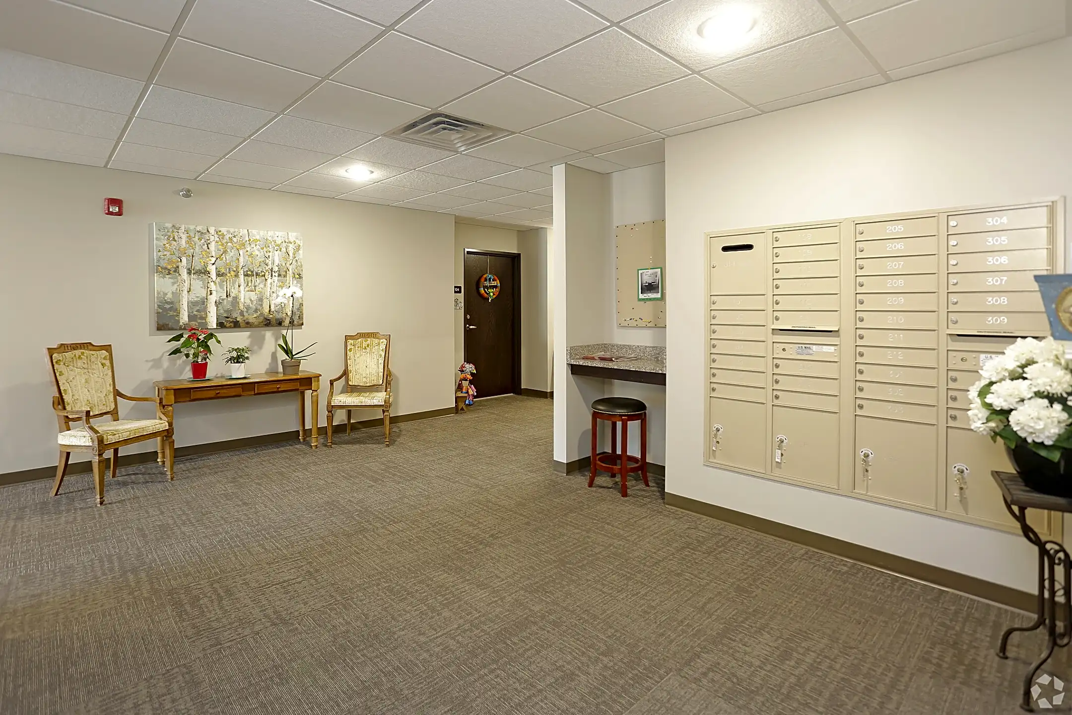 301 S Main St 301 S Main St unit 310 Pine Island, MN Apartments for