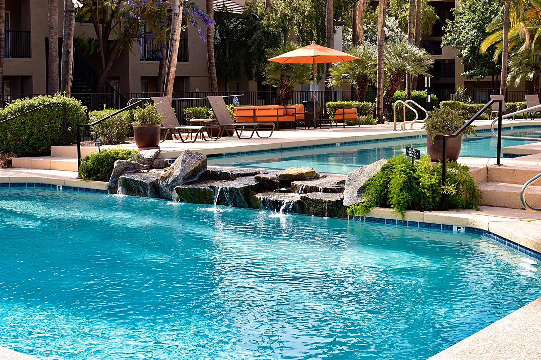 Pool - The Cortina - Phoenix, AZ