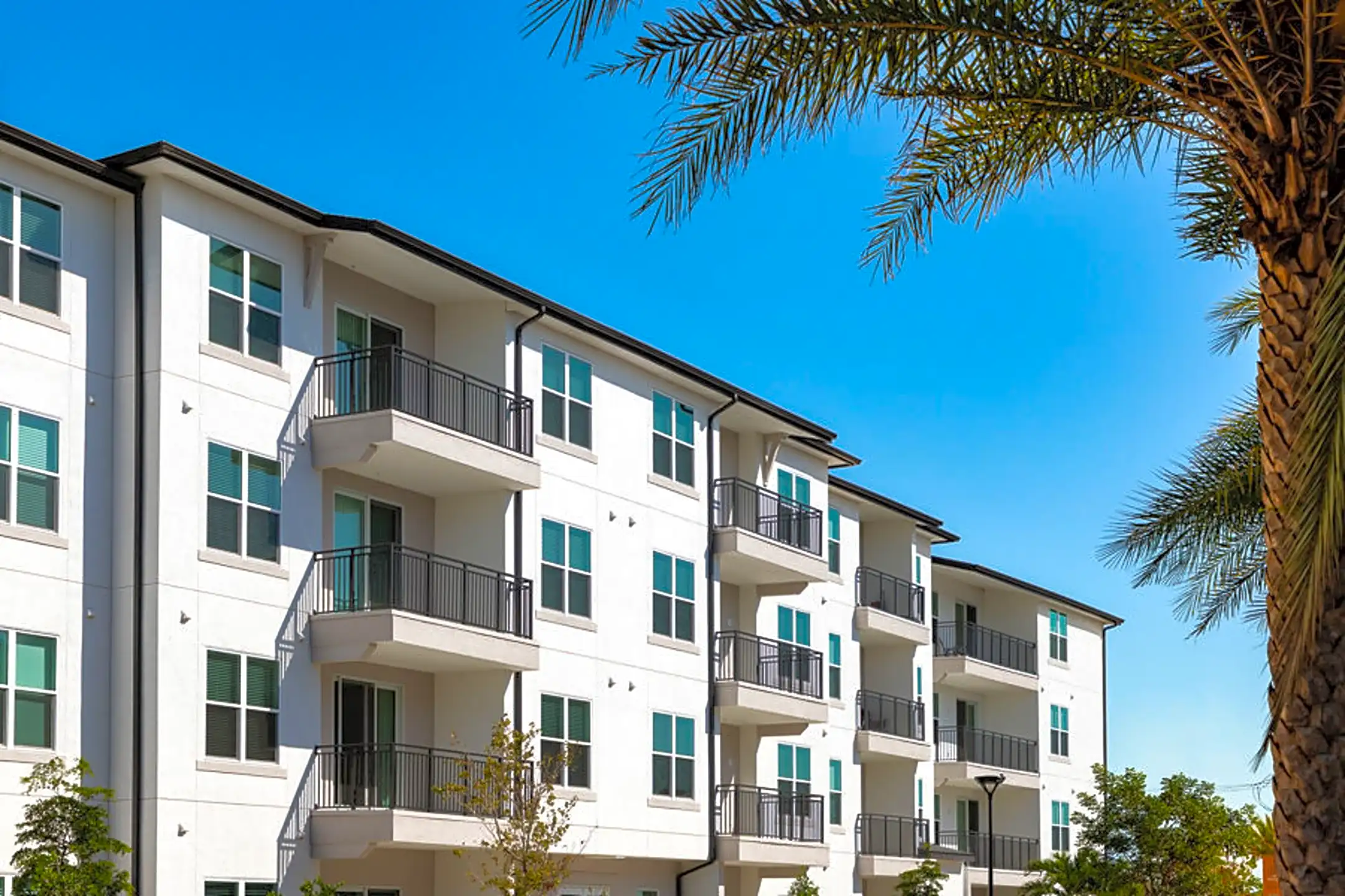 Citria at Fruitville 3017 Clementine Ct Sarasota, FL Apartments for