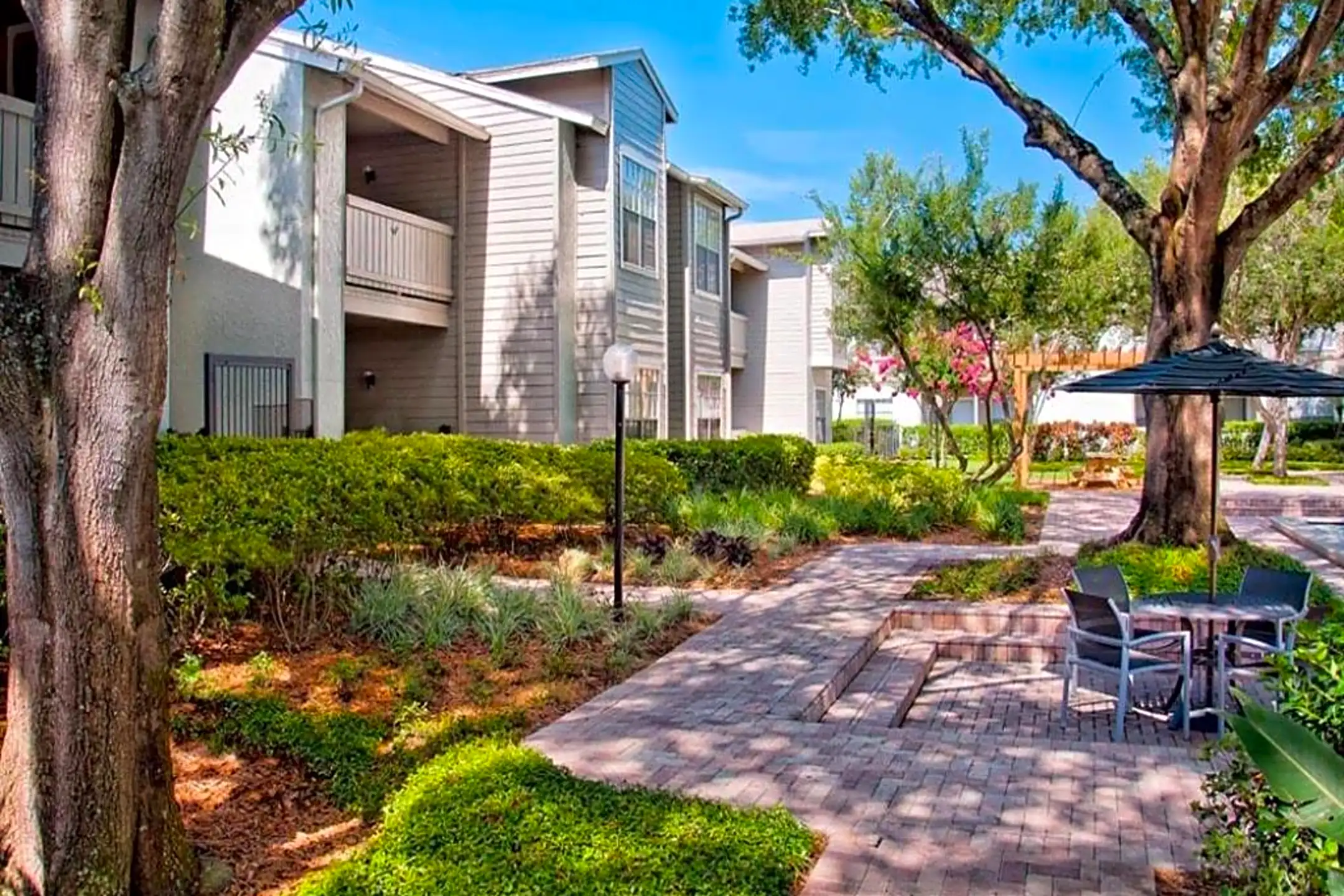 Ascent Citrus Park 8102 Sheldon Rd Tampa, FL Apartments for Rent