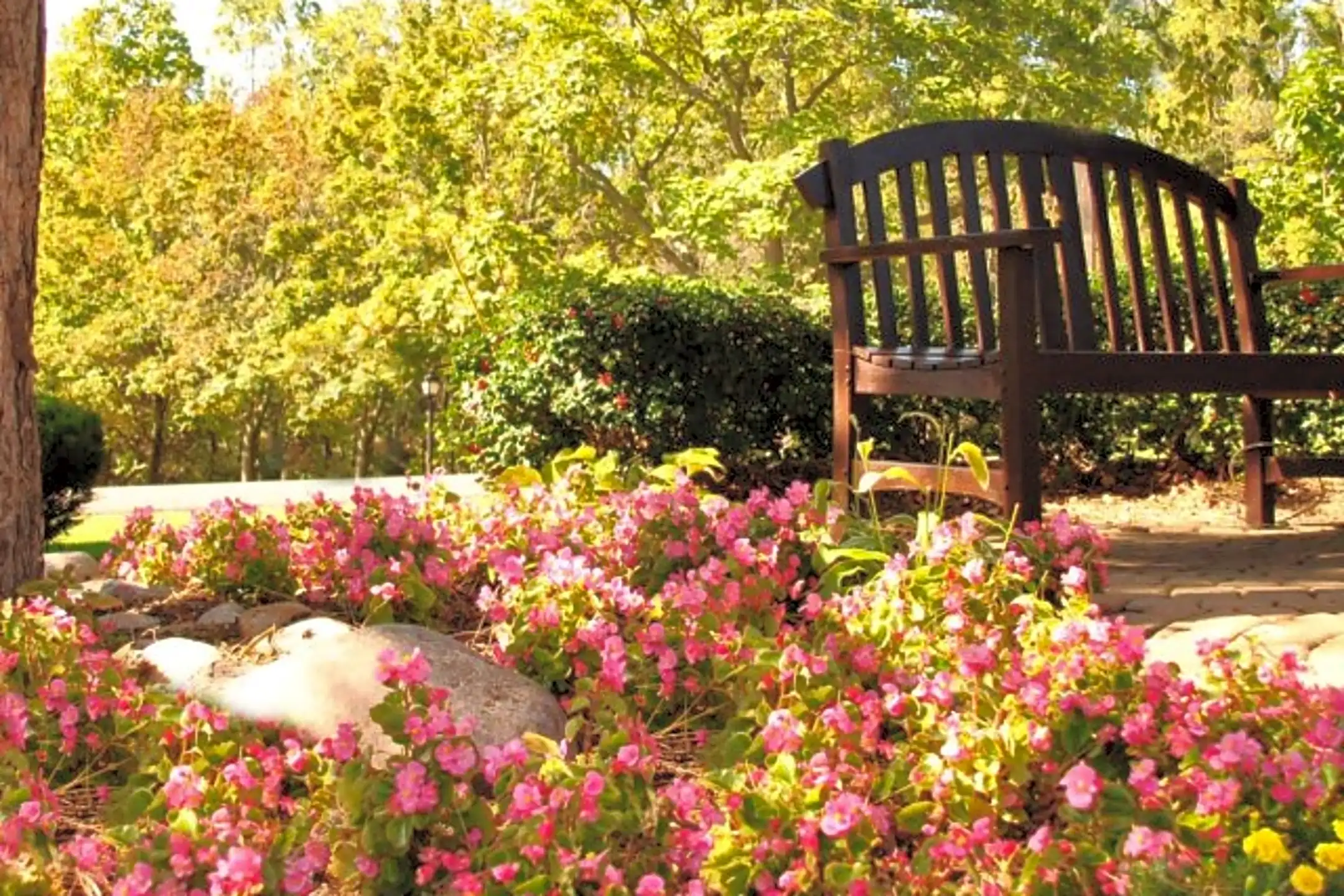 Limewood Apartments 572 Limewood Dr Battle Creek, MI Apartments for