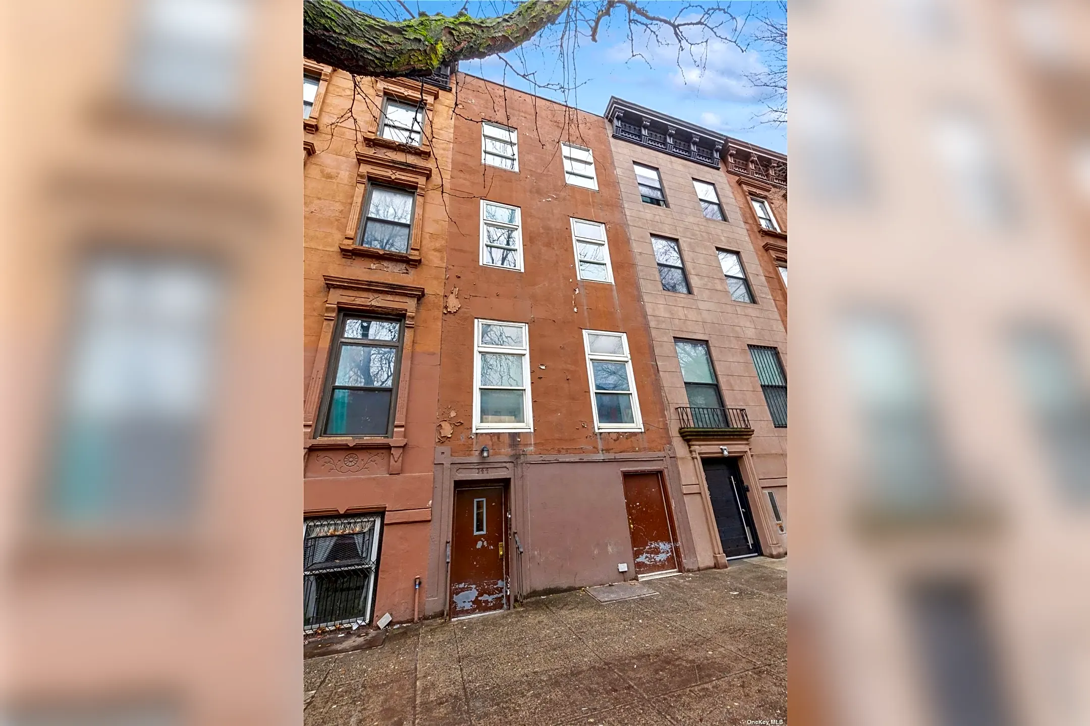 344 E 116th St #2A | New York, NY Apartments for Rent | Rent.