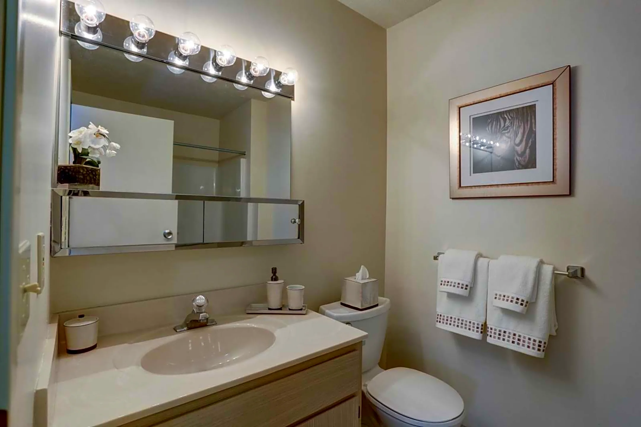 Bathroom - Foxmoor Apartments - Cleveland, OH