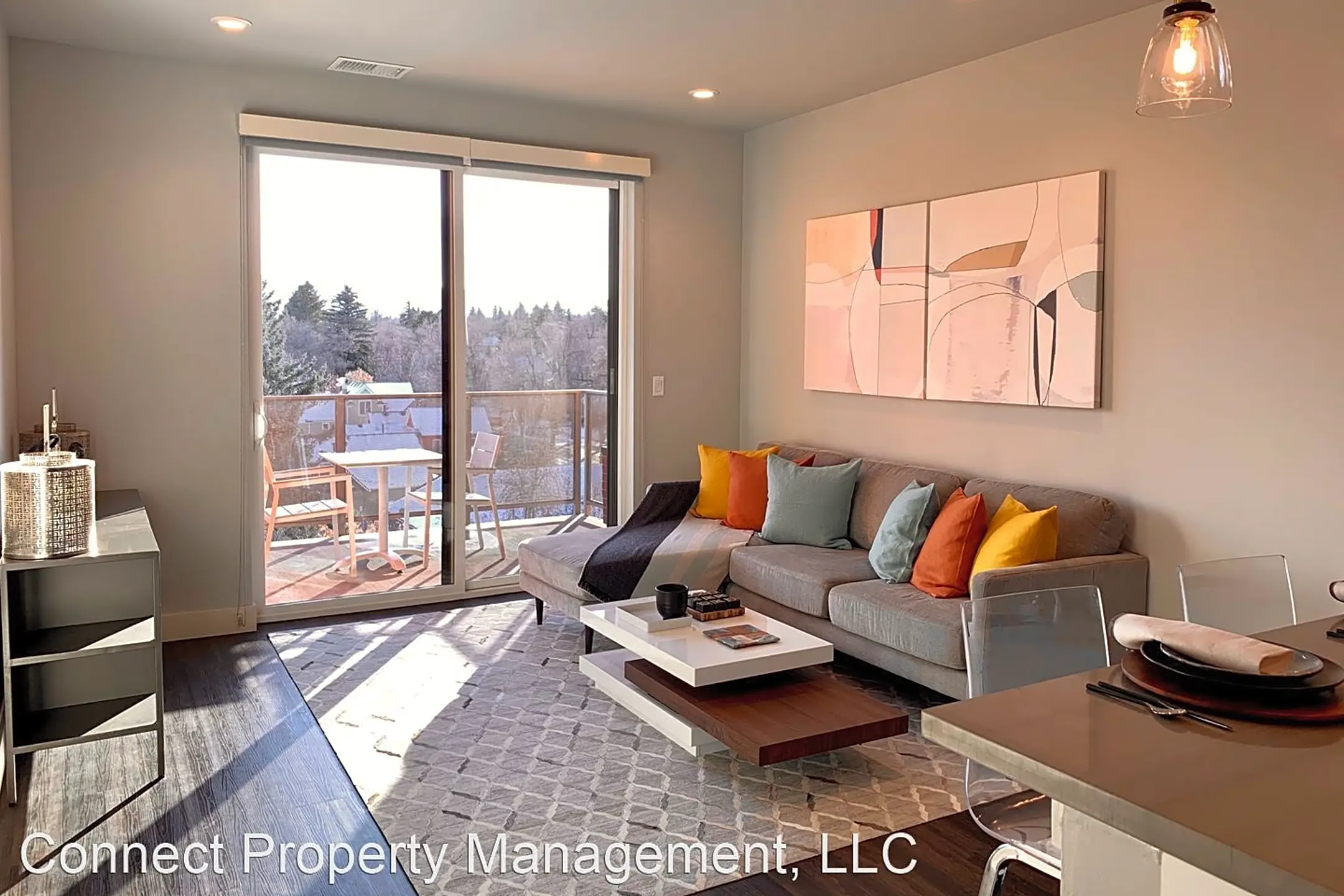 Living Room - 110 E Olive - Bozeman, MT