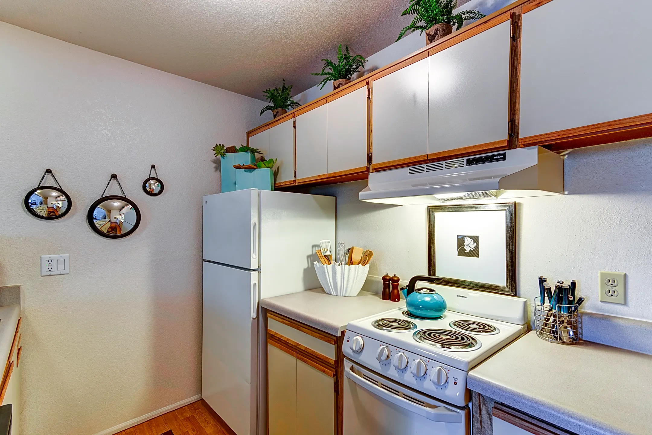 Cinnamon Tree Albuquerque, NM 87108