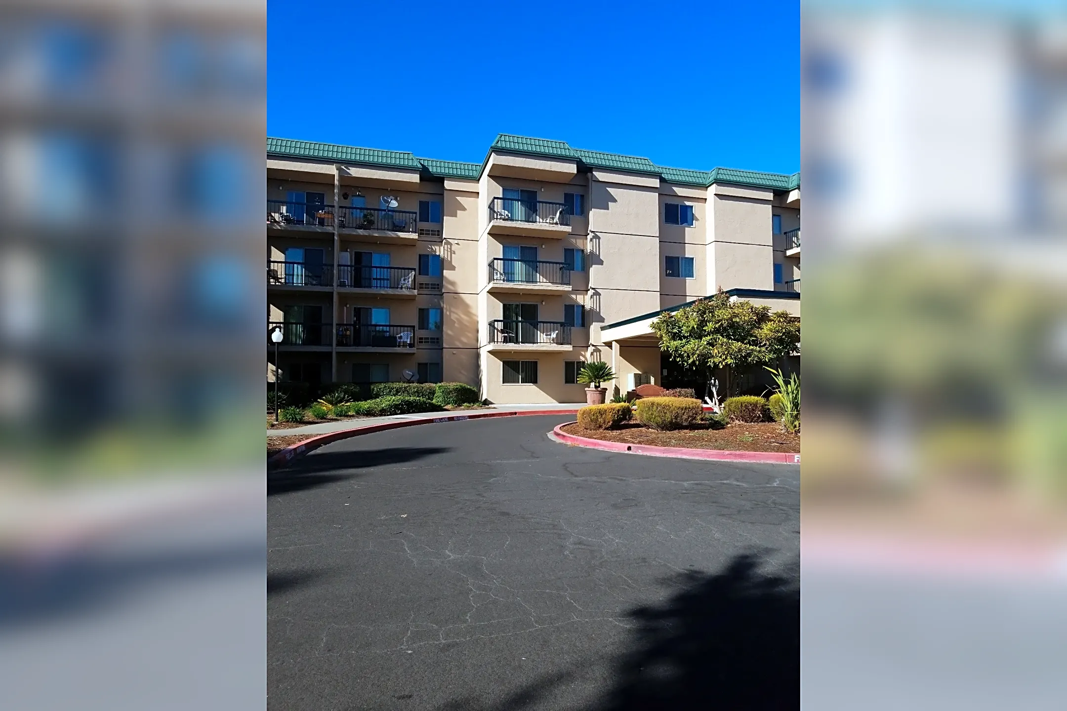 Rohnert Park Apartments For Rent Near Ssu