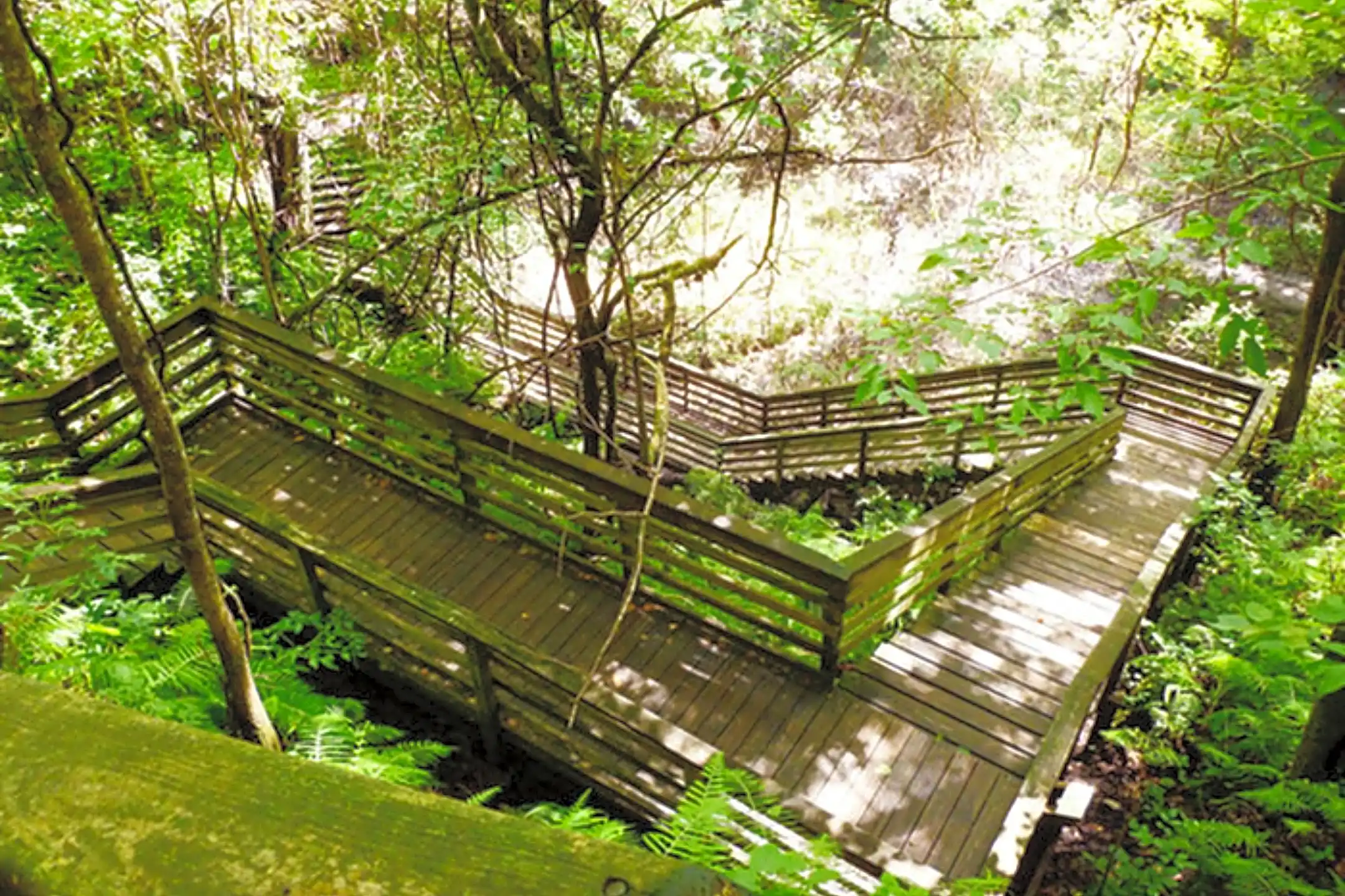 Whisperwood Apartments 4100 NW 28th Ln Gainesville, FL Apartments