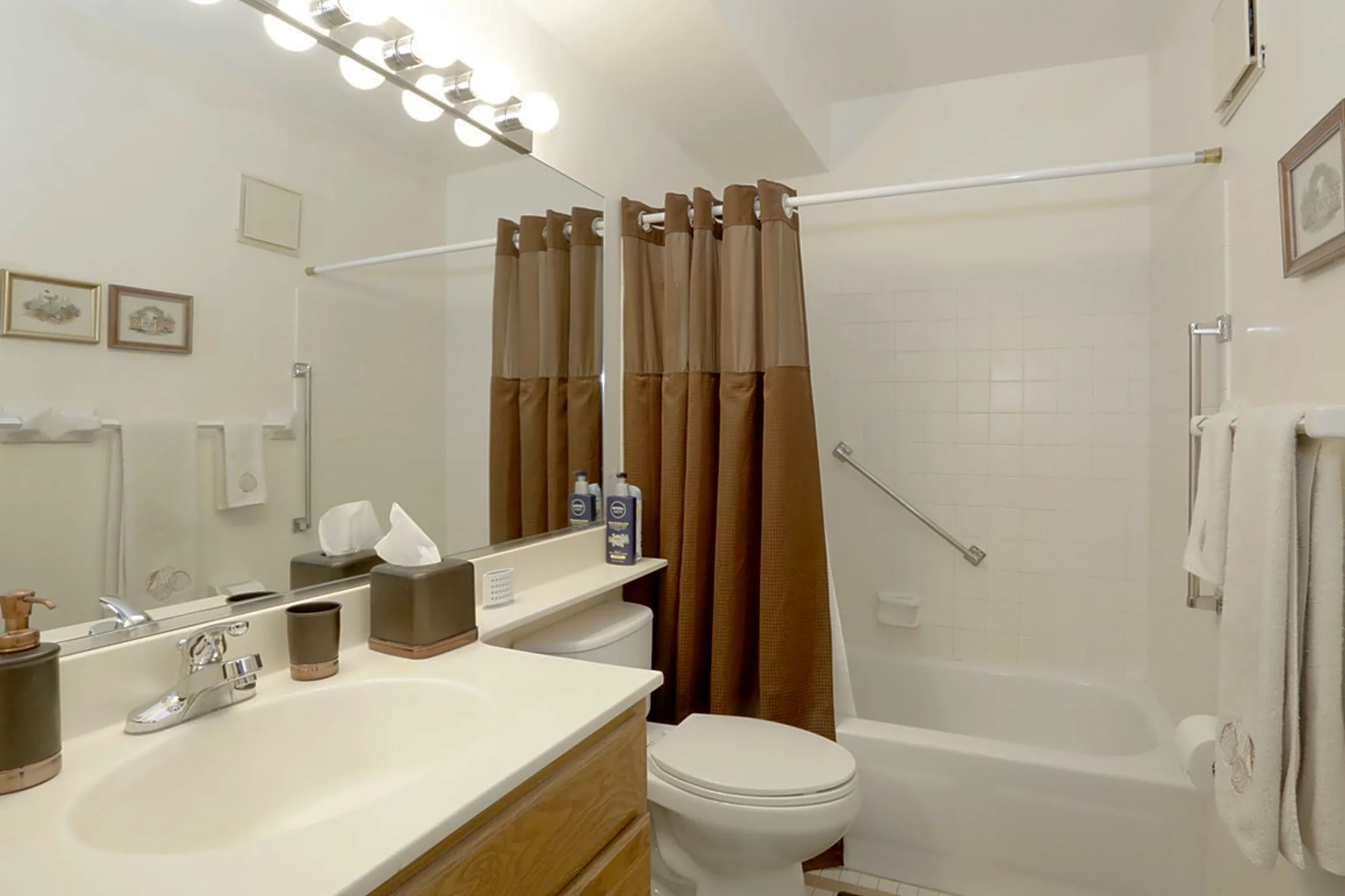 Bathroom - Village Grove Apartments - Elk Grove Village, IL
