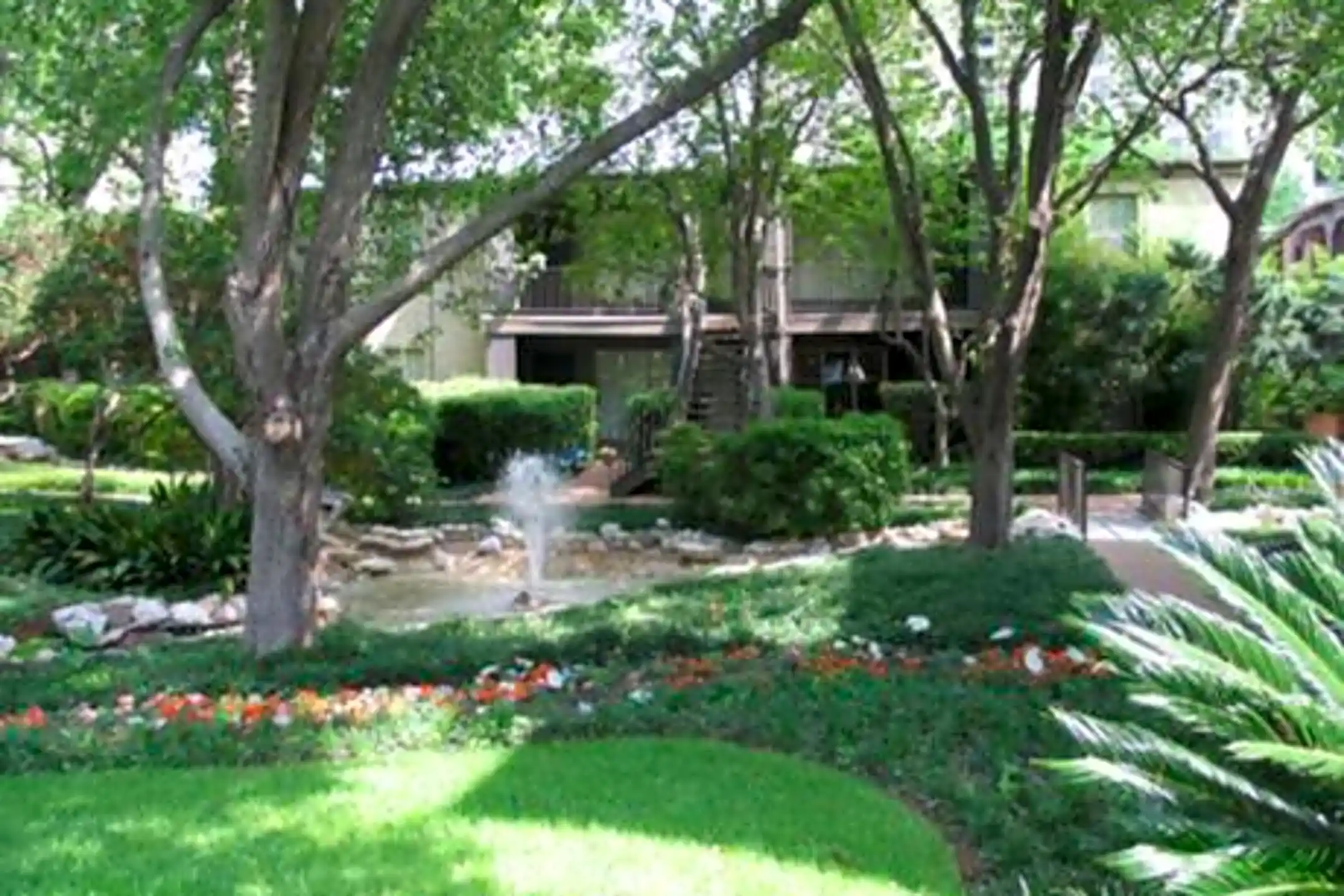 Creole On Yorktown 2400 Yorktown St Houston, TX Apartments for Rent