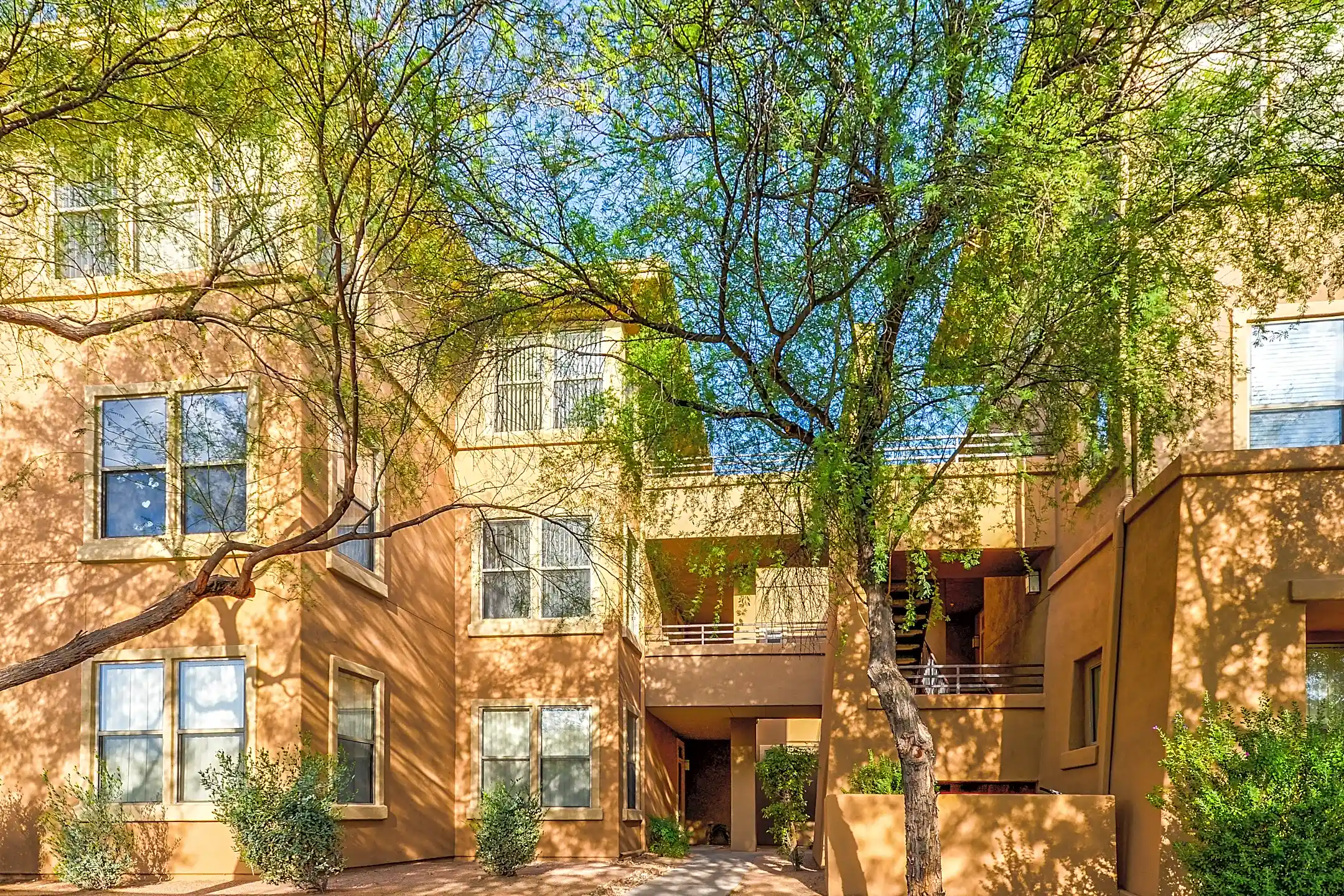 The Edge at Grayhawk Scottsdale, AZ 85255