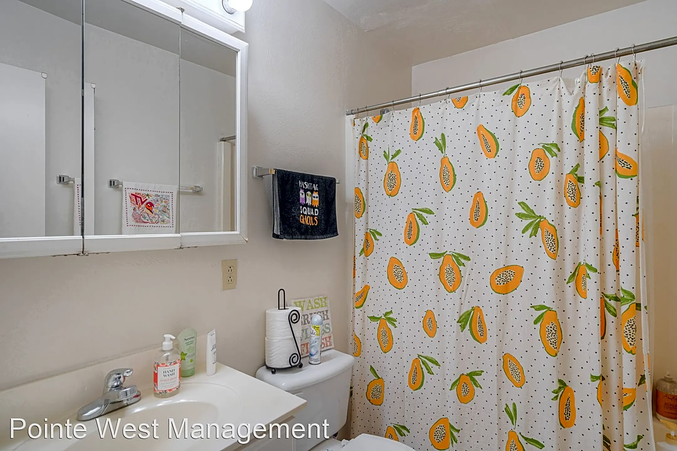Bathroom - 300 McDonald Street Apartments - Blacksburg, VA