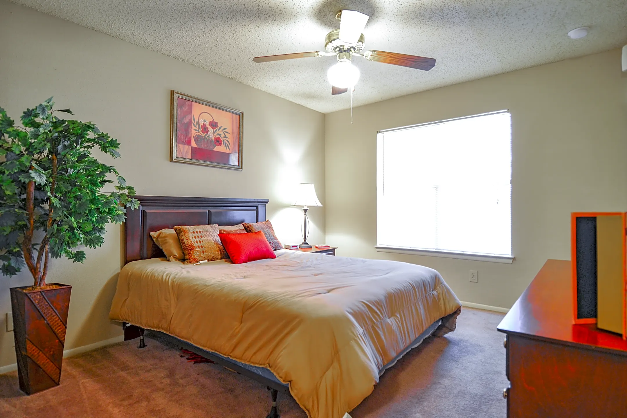 Sycamore Creek Schertz, TX 78154