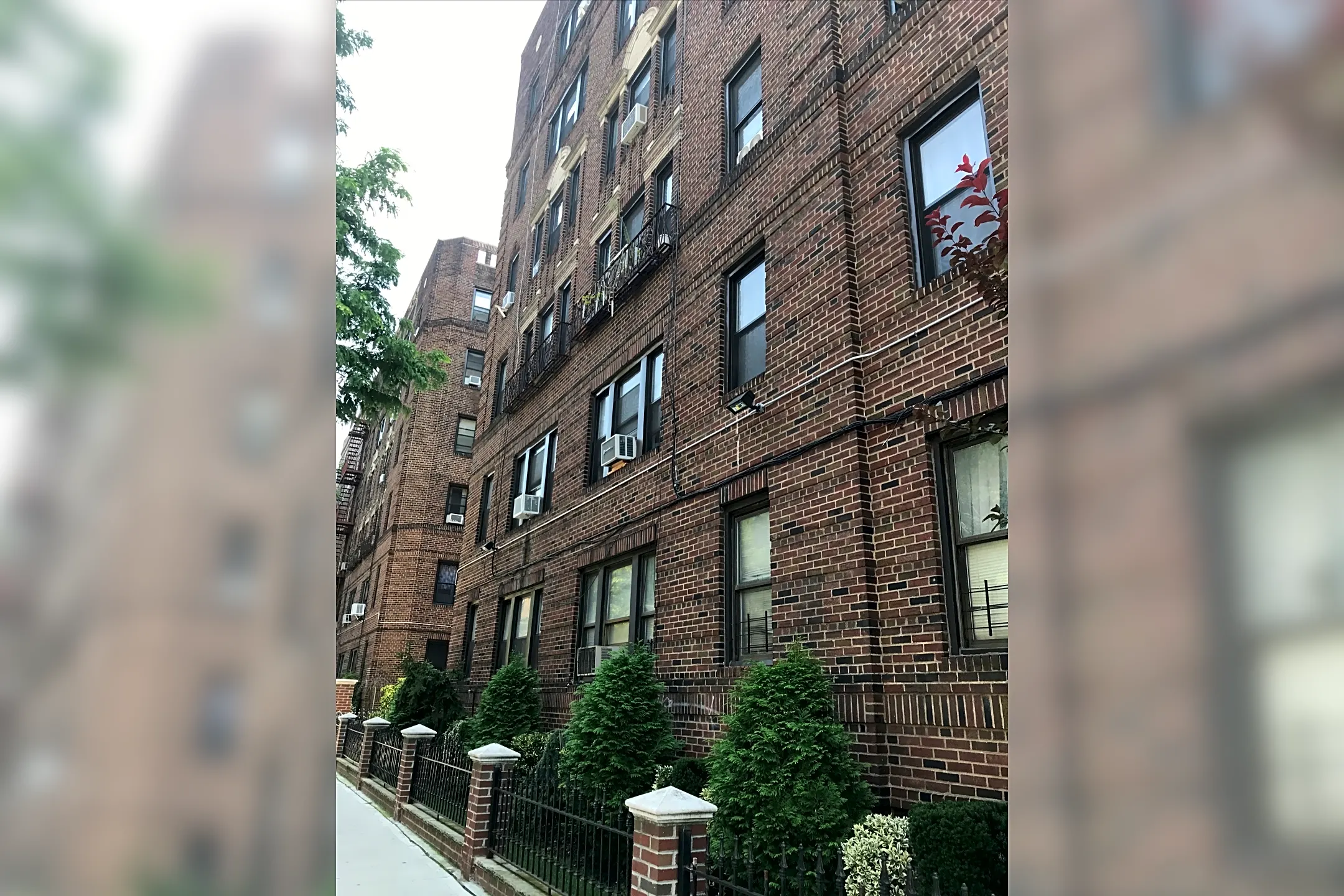 1700 Albemarle Road 1700 Albemarle Rd Brooklyn, NY Apartments for