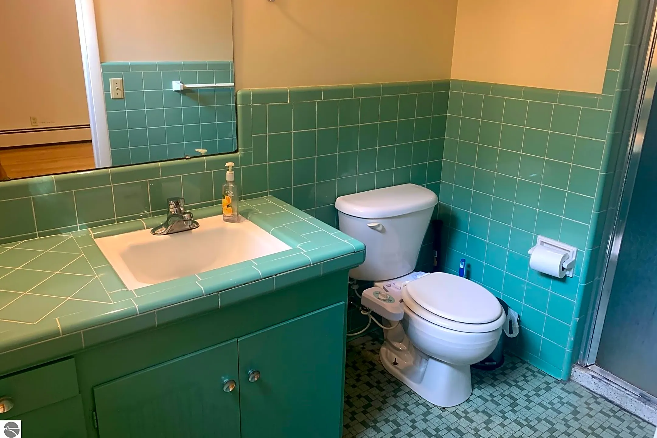 Bathroom - 1115 Watson Rd - Mount Pleasant, MI