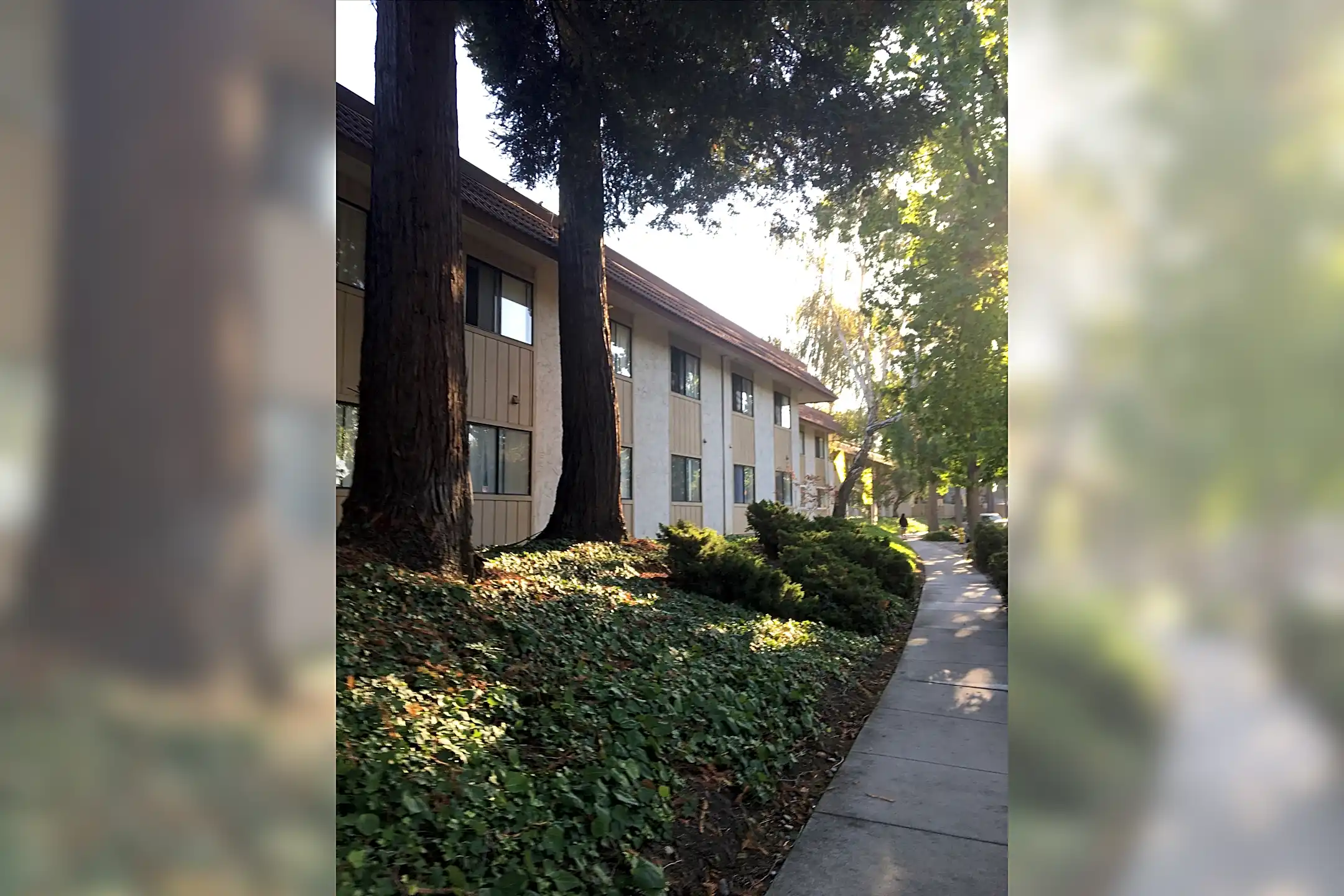 Charter Court Apartments San Jose, CA 95117