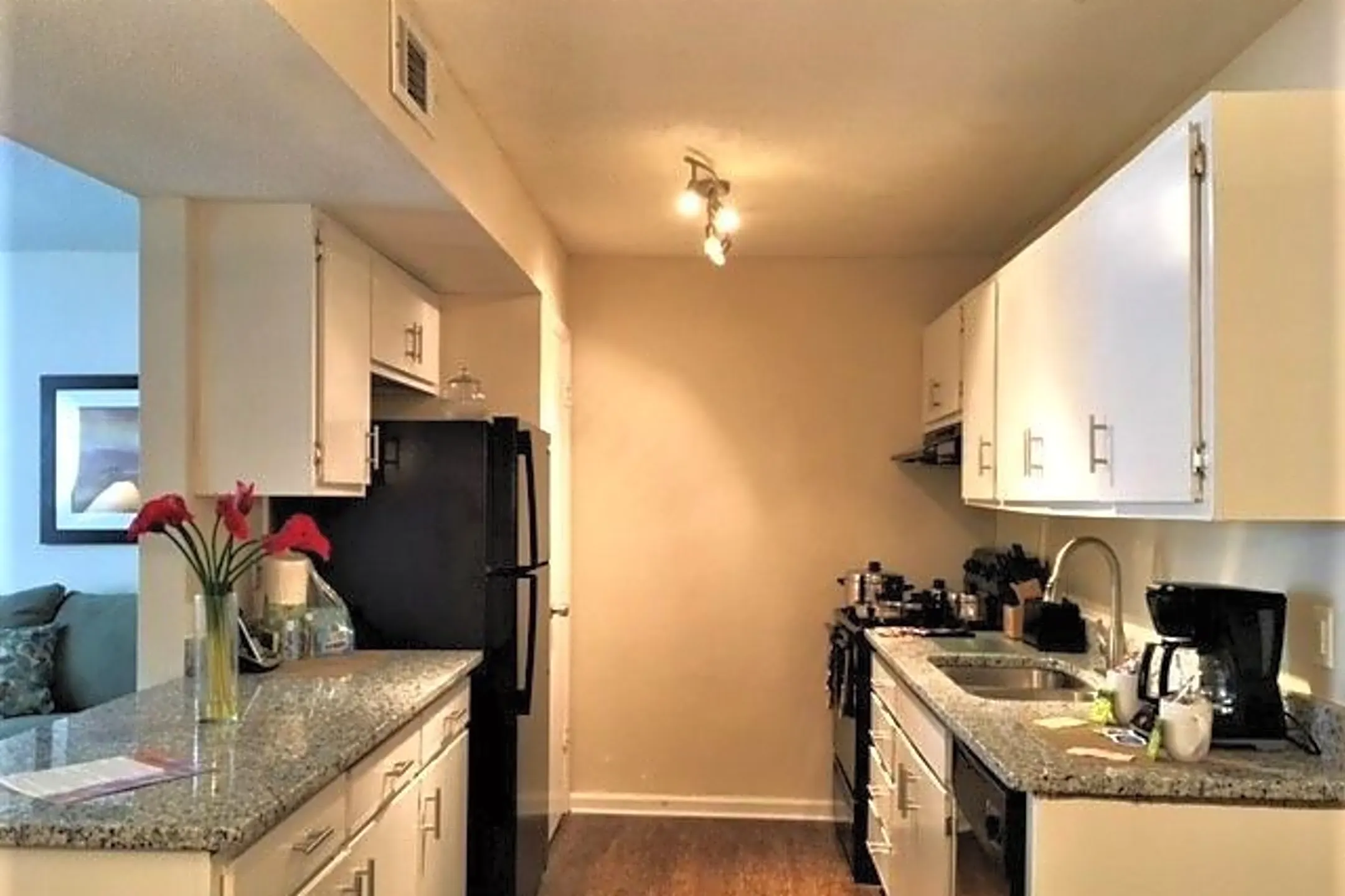 Kitchen - Springtree Apartments - Columbia, SC
