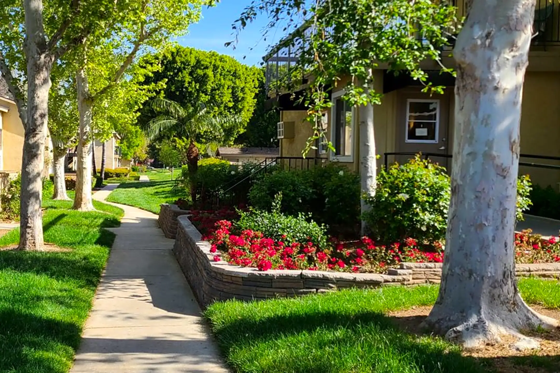 1075 W State St Redlands, CA Houses for Rent Rent.