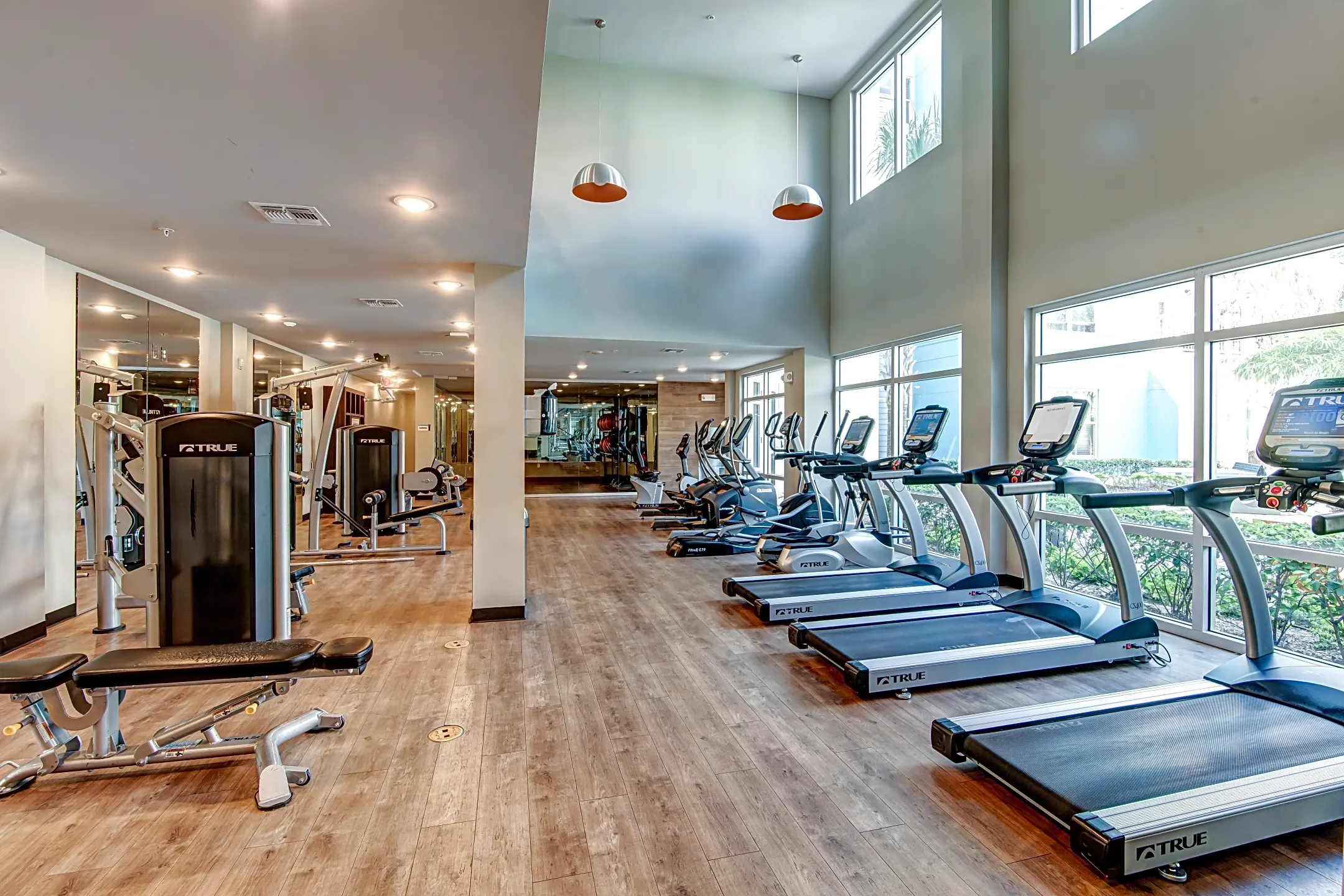 Fitness Weight Room - IQ Apartments - Per Bed Leases - Tampa, FL