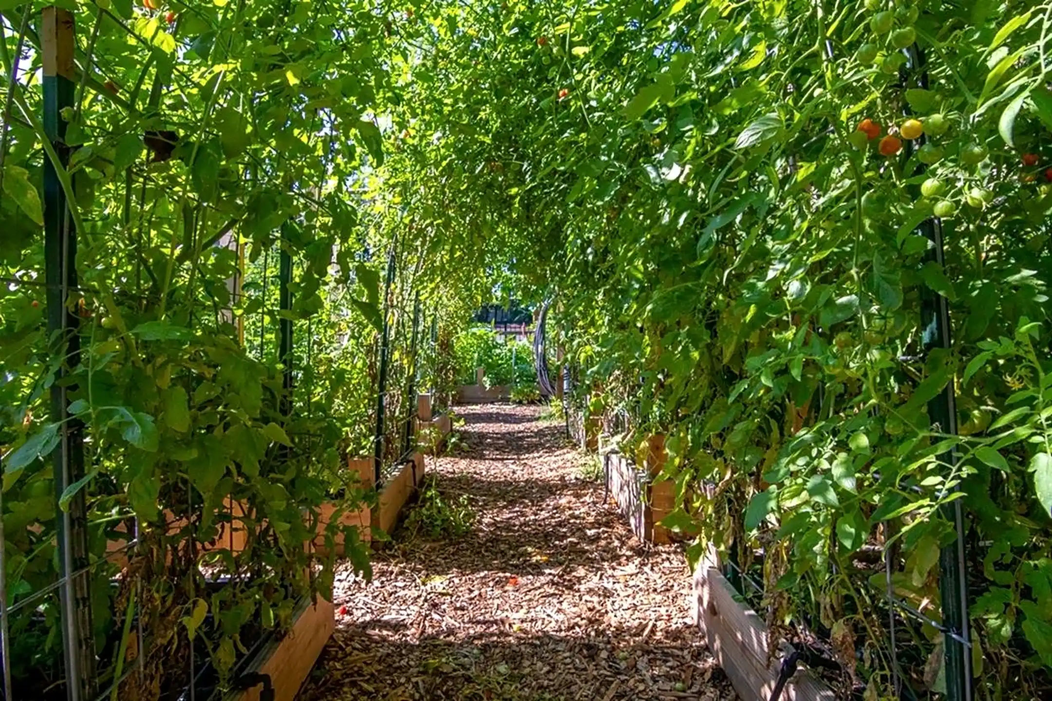 Short Hills Terrace Apartments 806 Morris Tpke Short Hills, NJ