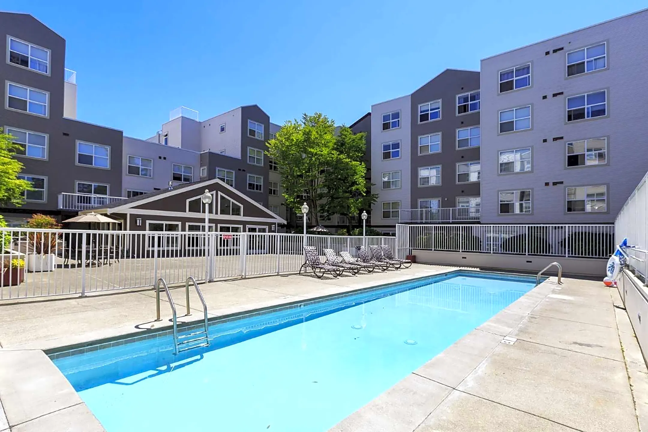 Pool - Cooper Apartments - Seattle, WA