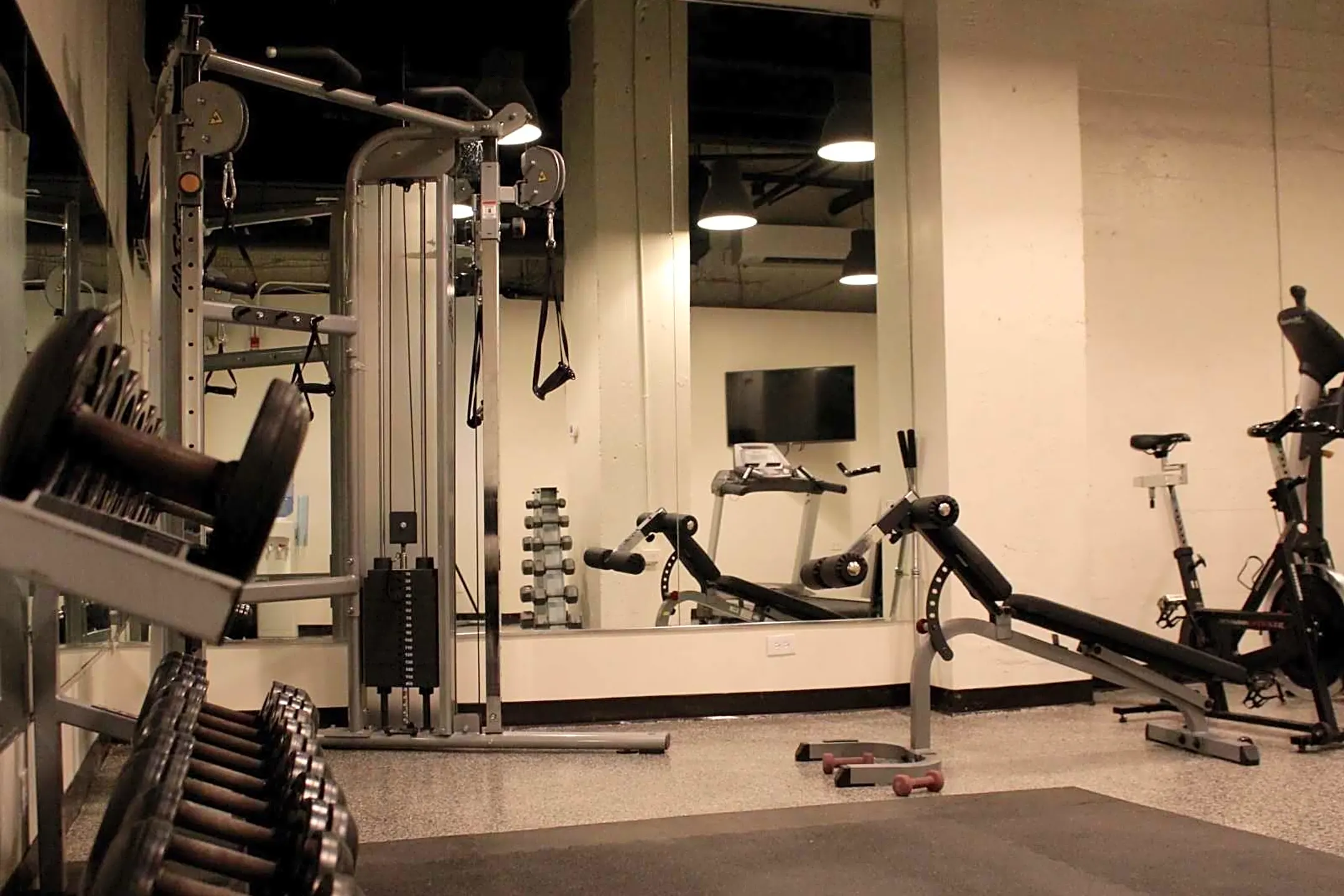 Fitness Weight Room - 14 West Elm - Chicago, IL