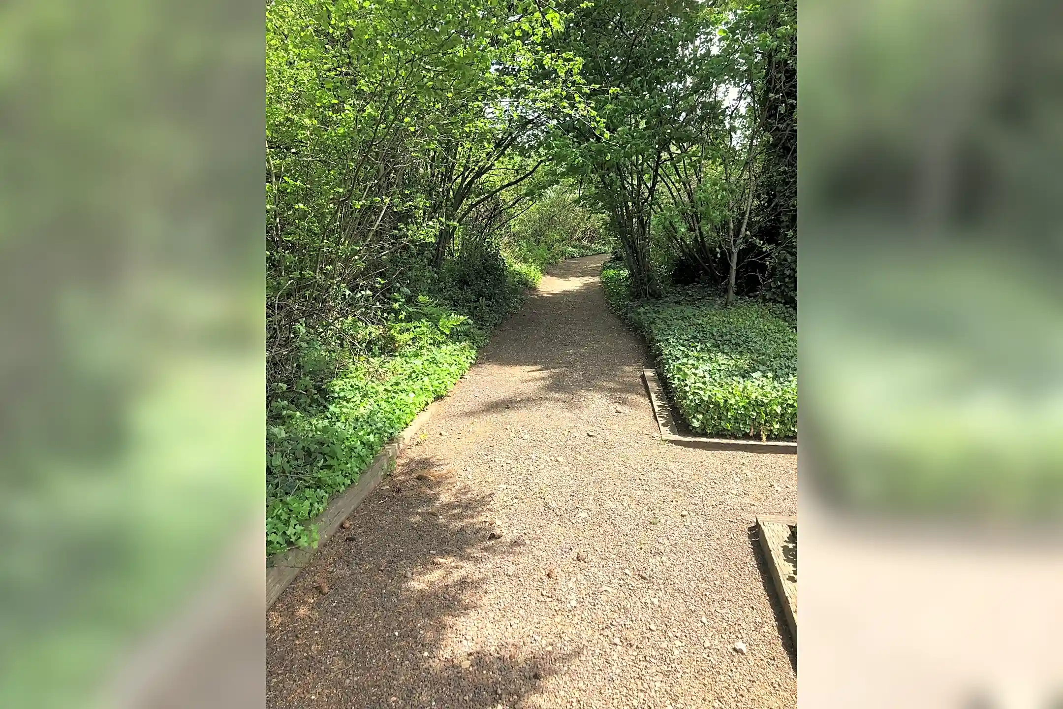 Juniper Ridge Bellevue, WA 98005