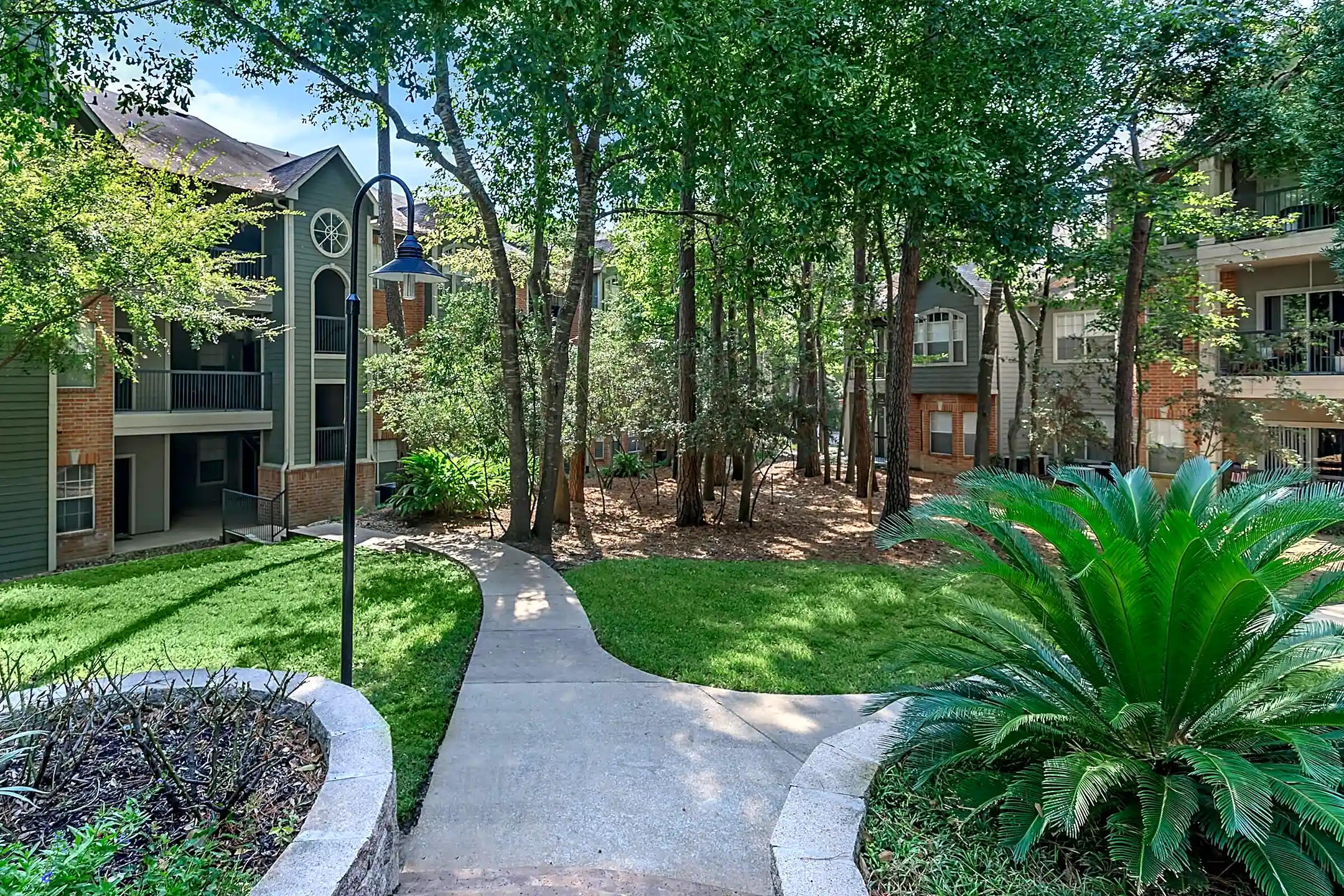 White Oak Conroe, TX 77304