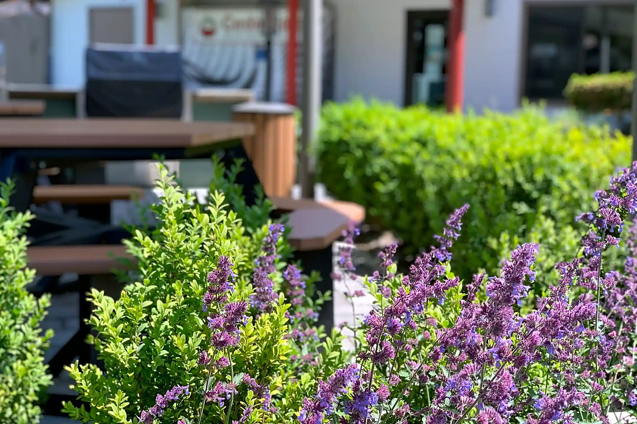 Cedardale 2501 SW 336th St Federal Way, WA Apartments for Rent Rent.