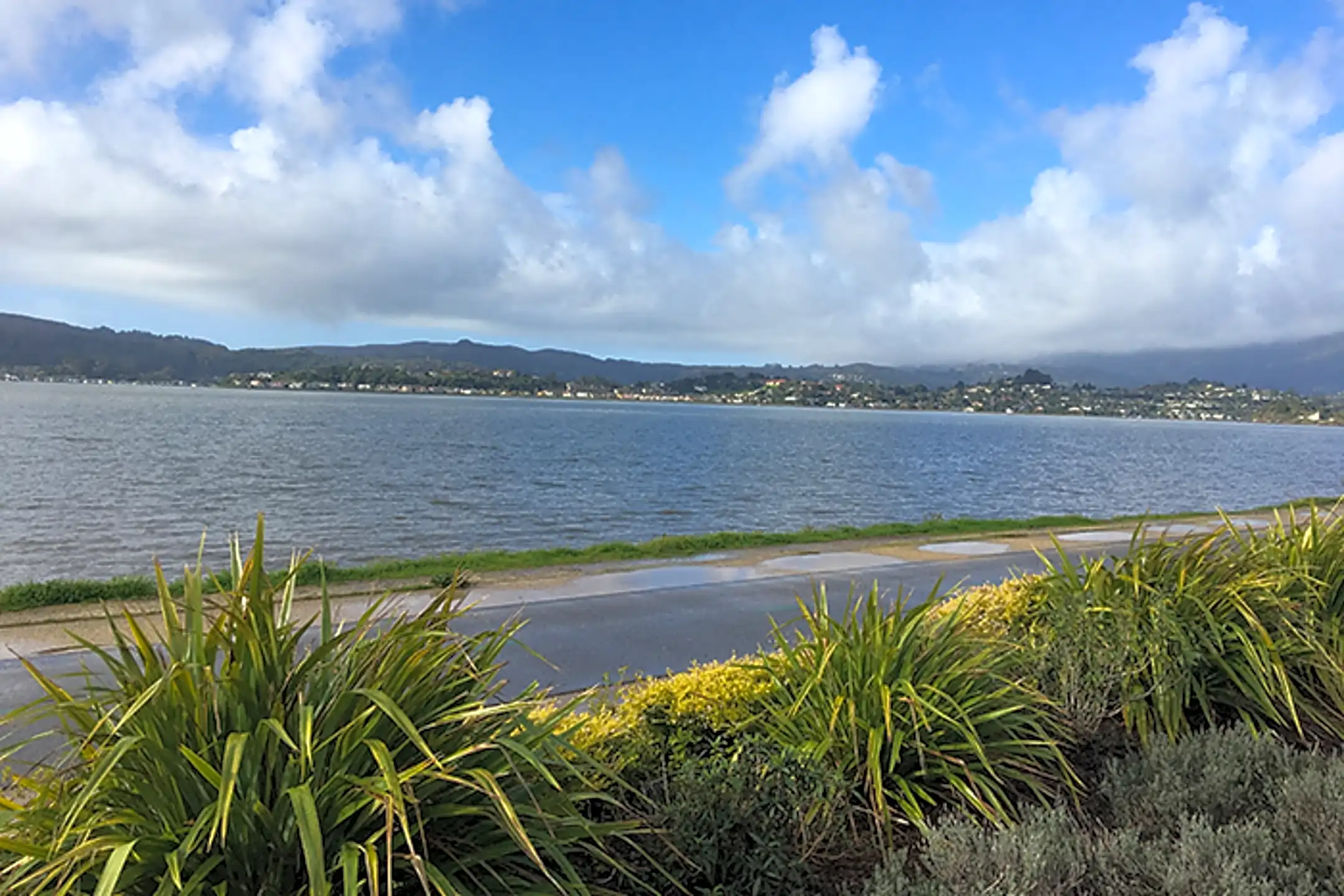 Lyford Apartments 4 Lyford Dr Belvedere Tiburon, CA Apartments for